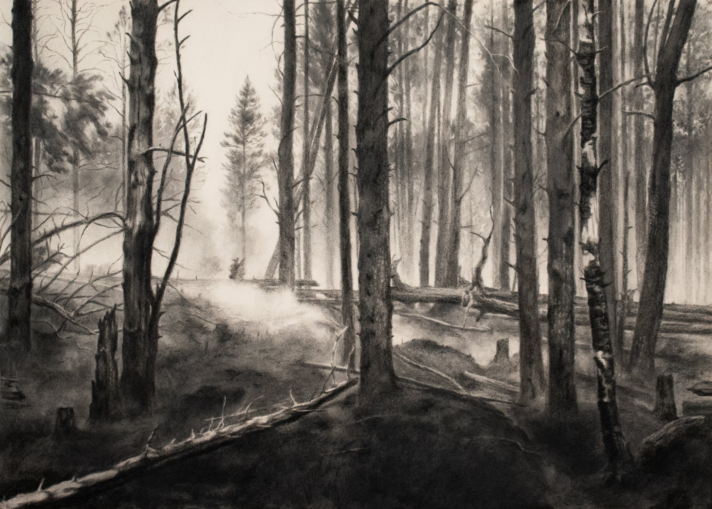 FCN_Langdale Moor_Charcoal_Master copy.jpg