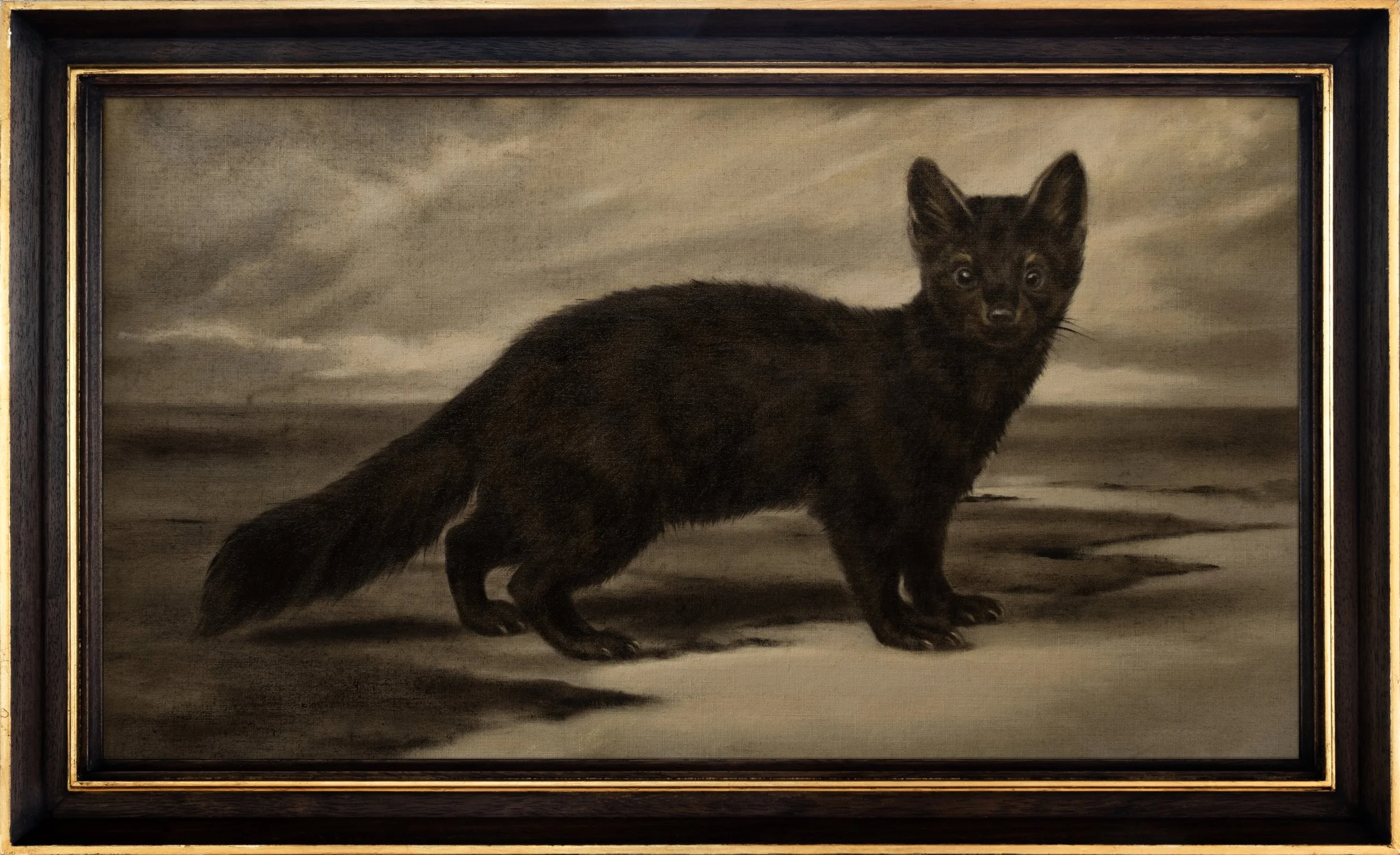 FCN_Sable_Fuji_Framed Master copy.jpg