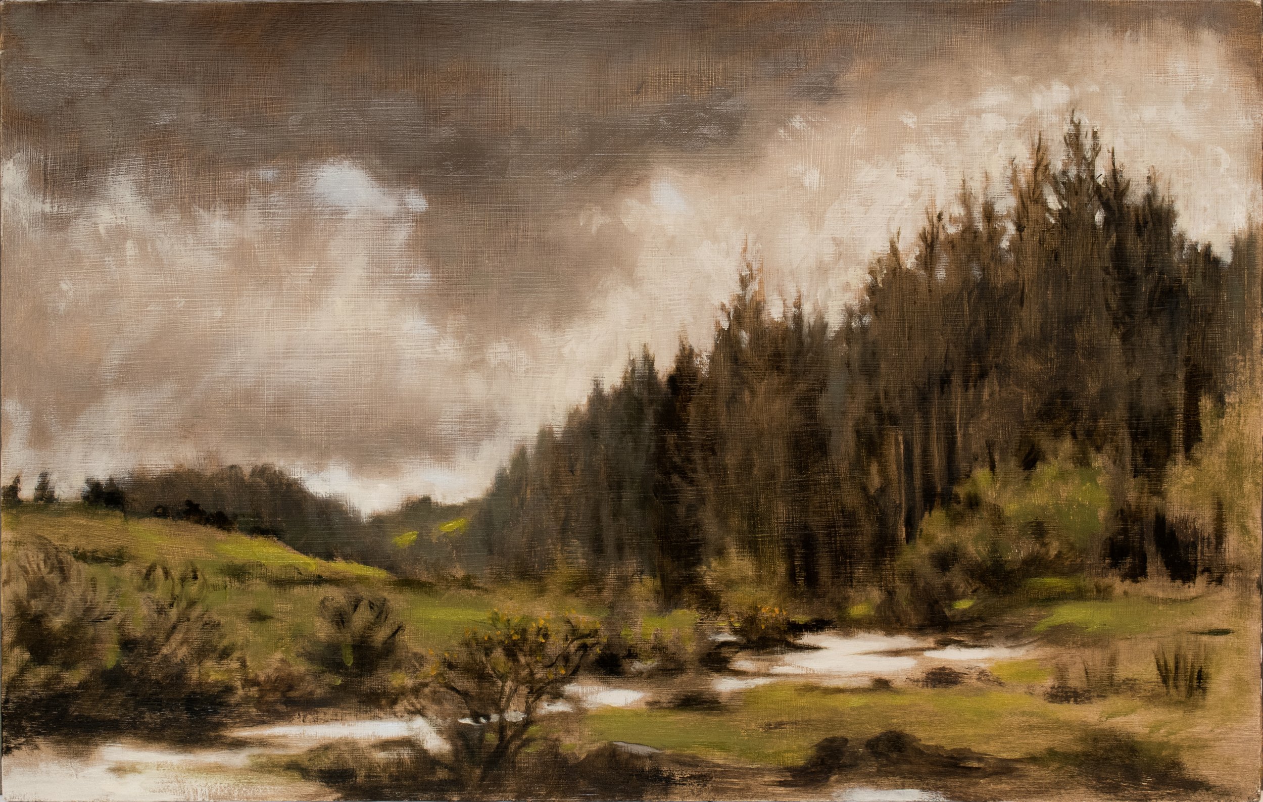 FCN_Bellever Forest_Dartmoor.jpg