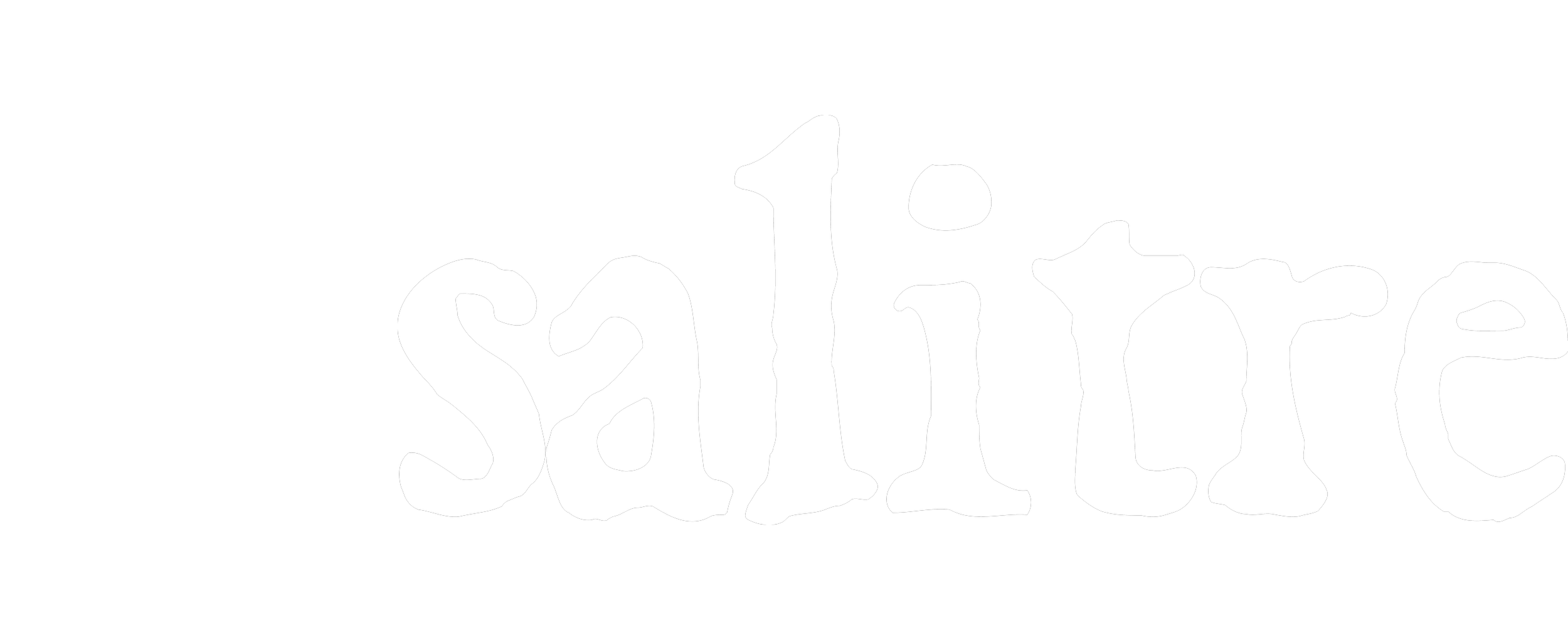 SALITRE logo completo.png