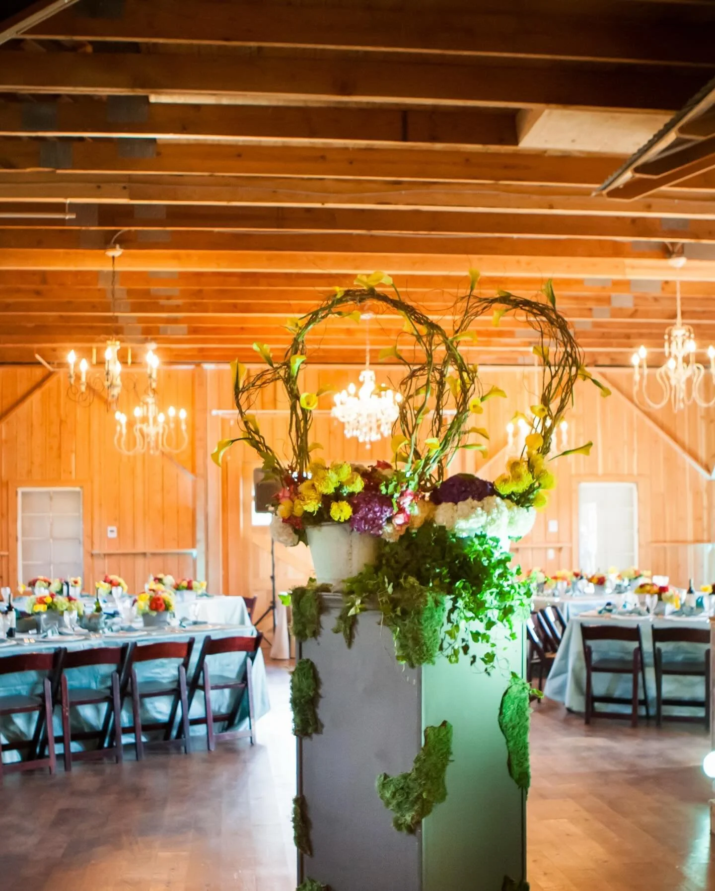 A subtle transition into fall for our clients Board of Directors event🍂