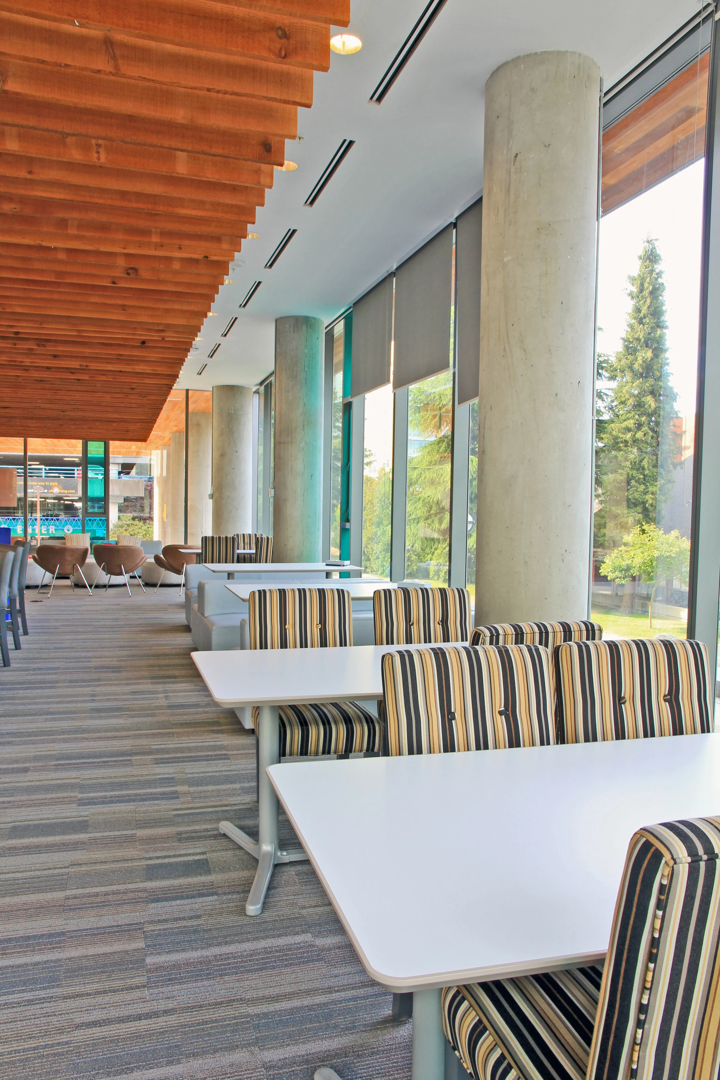 UBC_Ponderosa_010-Collegia.jpg
