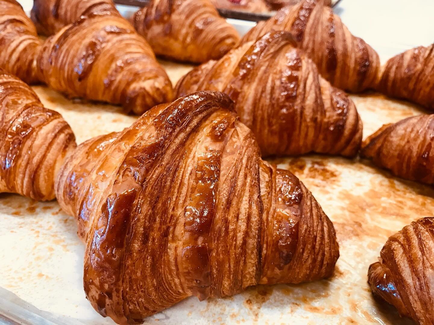 Start this beautiful sunny morning with our buttery croissants or fresh herb, quail egg &amp; cheese kouign amann

#croissant #pastry #nationalcroissantday #bakery #boulder #coloradofoodscene #community #bakerylife #5280eats #5280 #foodies #morningco