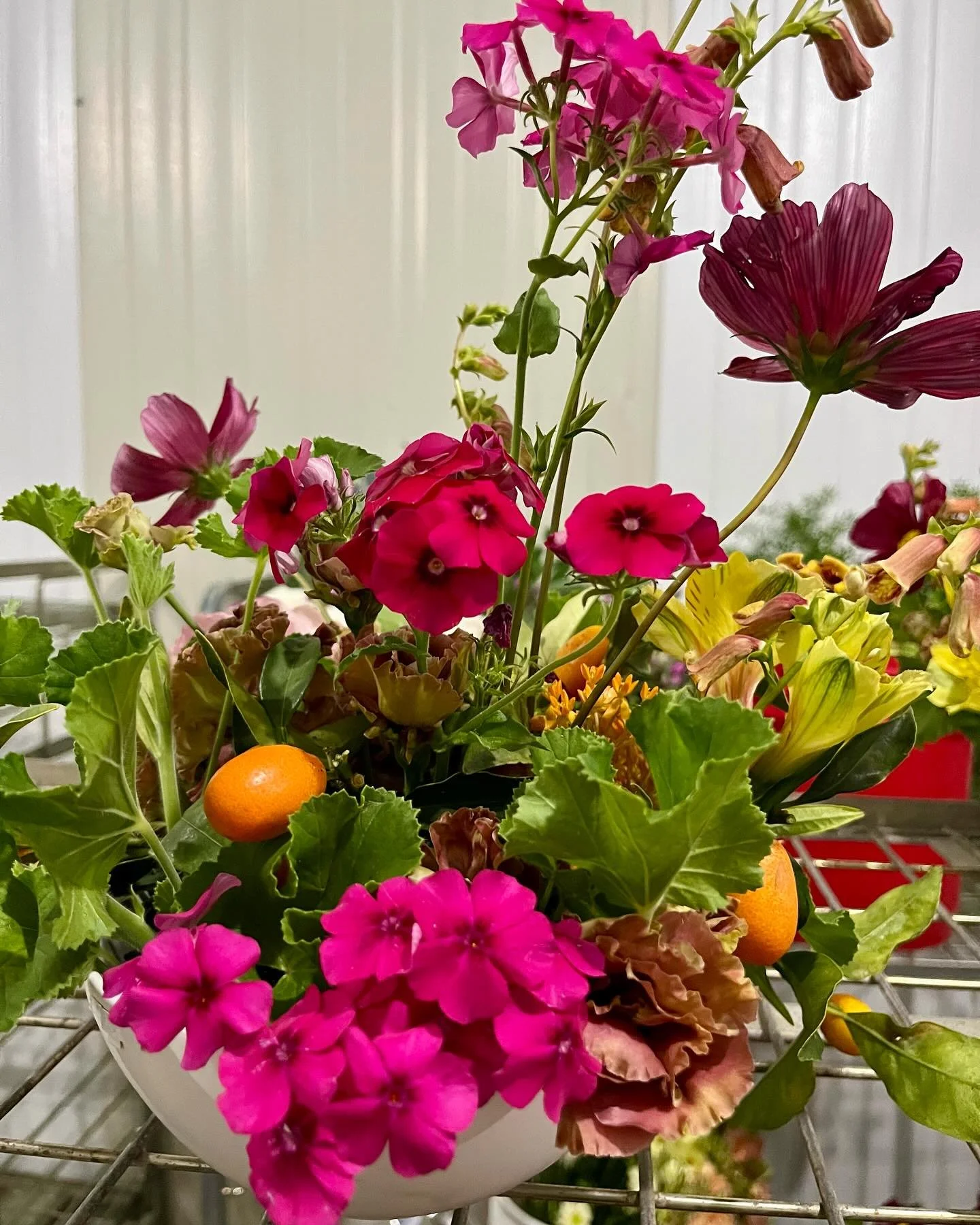 Happy International Women&rsquo;s Day to all the beautiful women that keeps our business flourishing 💕. And all those amazing women I&rsquo;m surrounded by in my daily life. Love you all.