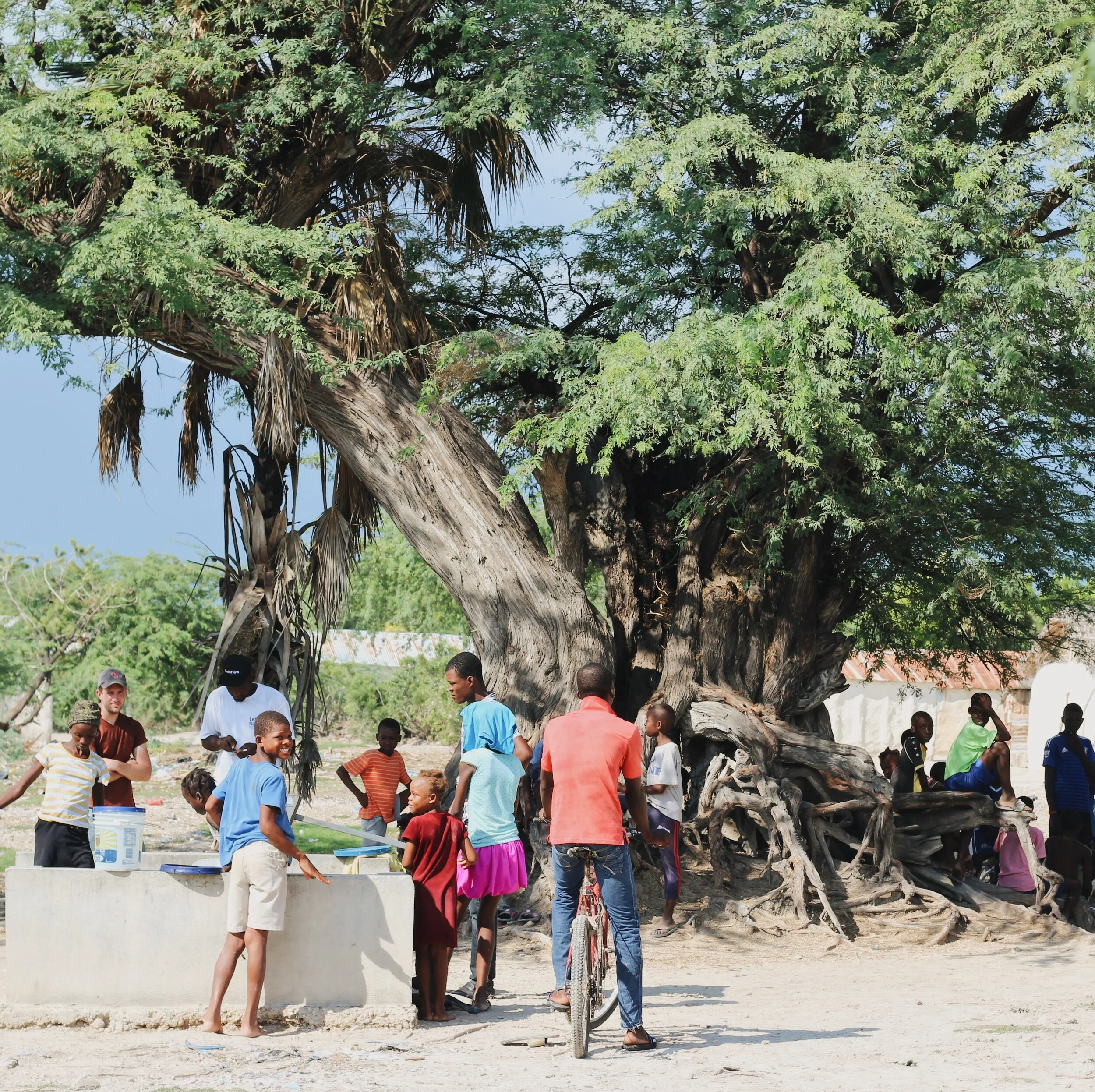 JPEG image-BA62C5182B19-3.jpeg