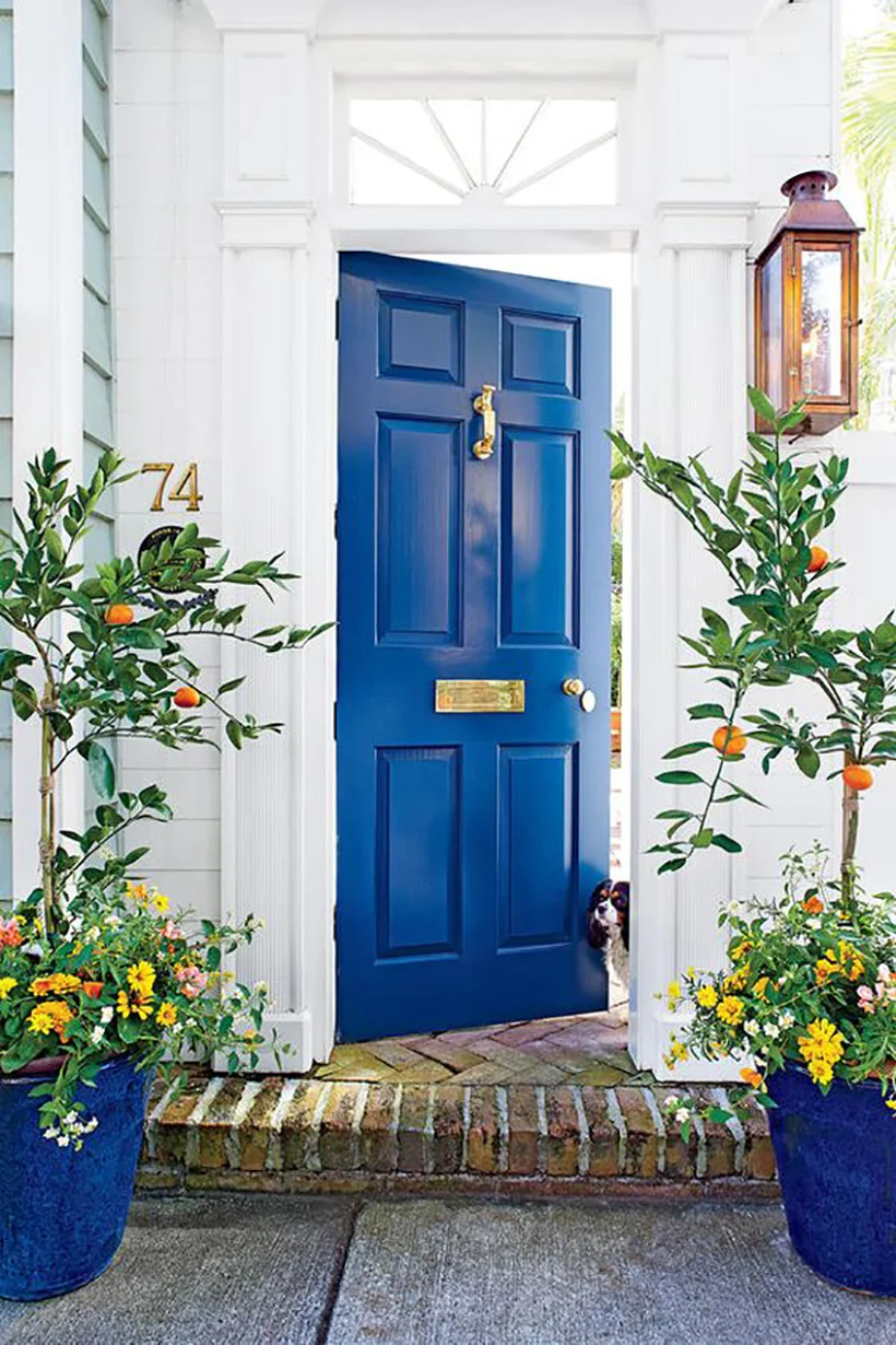 Why change your front door color?