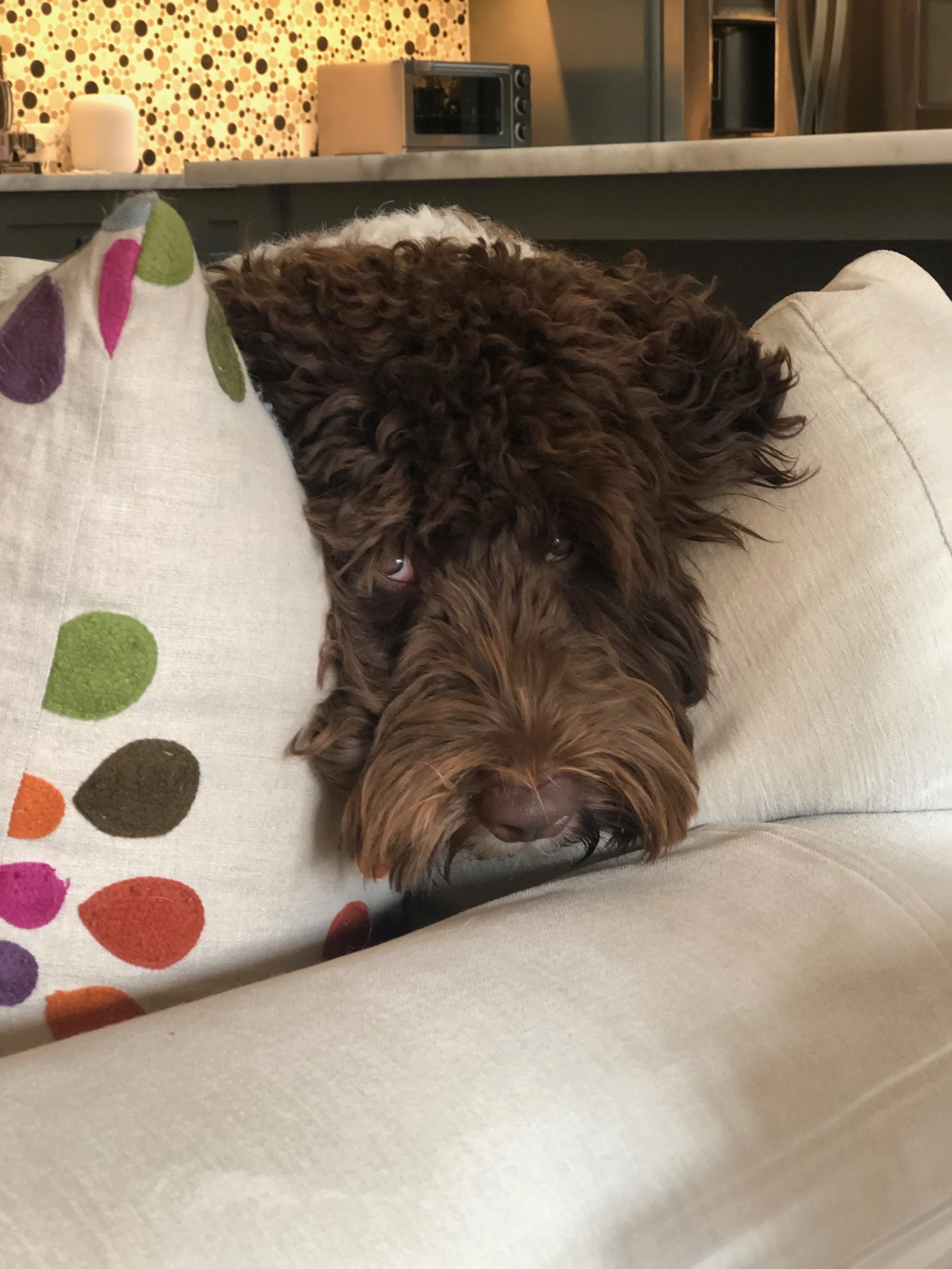 Episode 20: Nightmare Clients