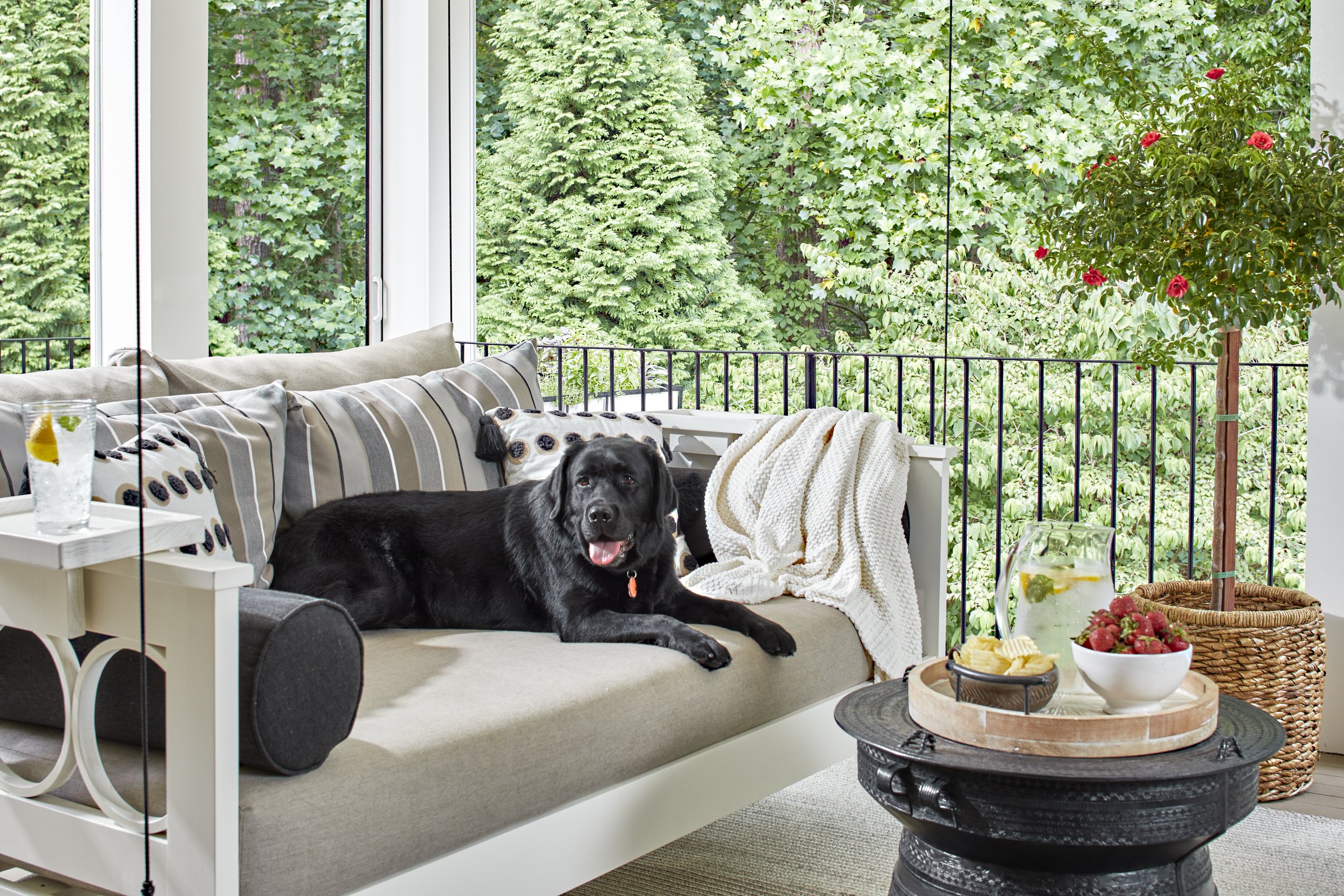 Kandrac_Kole_GoldValley_Porch_Dog2.jpg