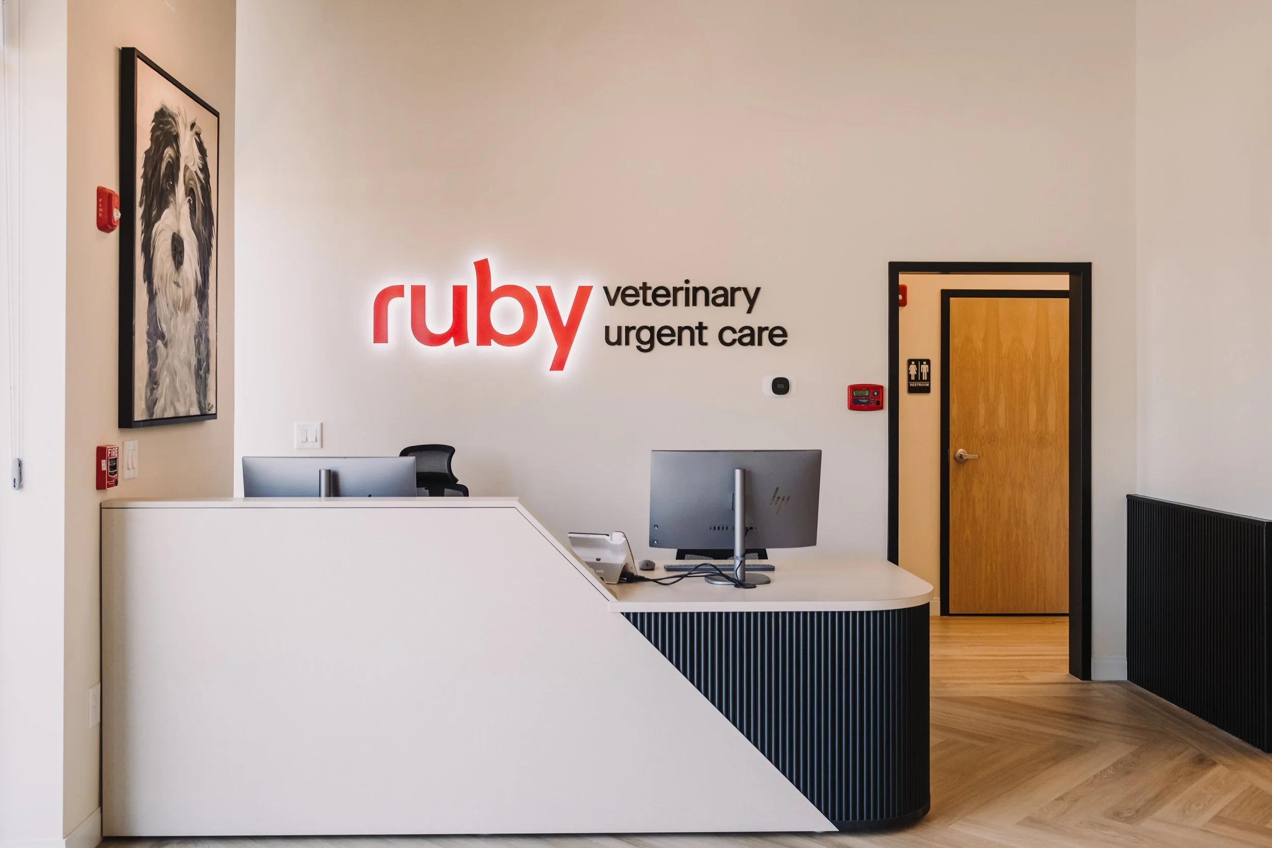ruby-vet-2025-by-monica-carlson-photography-4.JPG