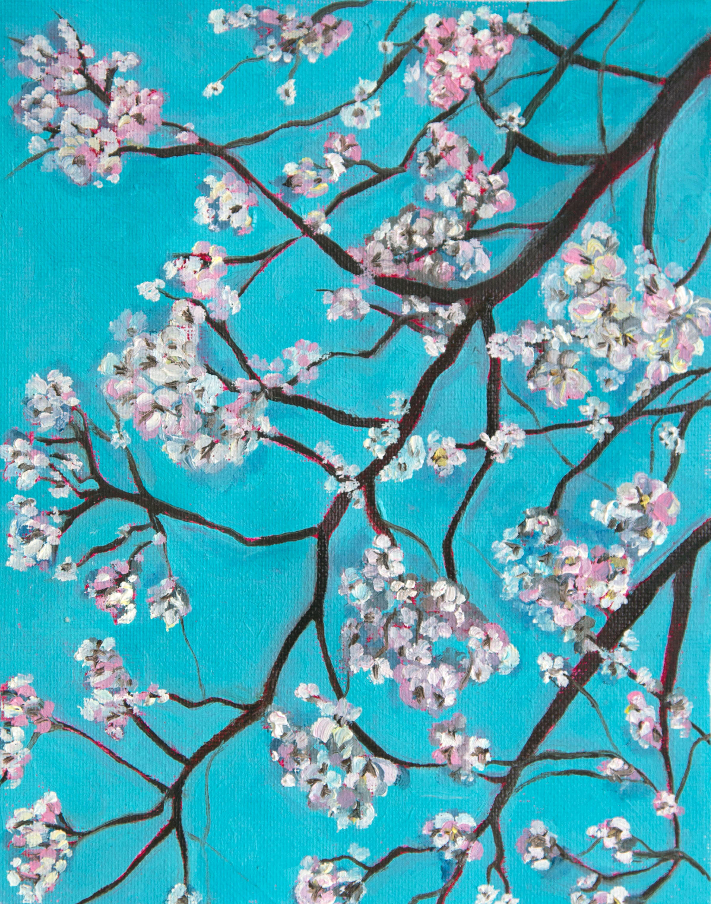 JPH_Everyonelovesflowers.jpg