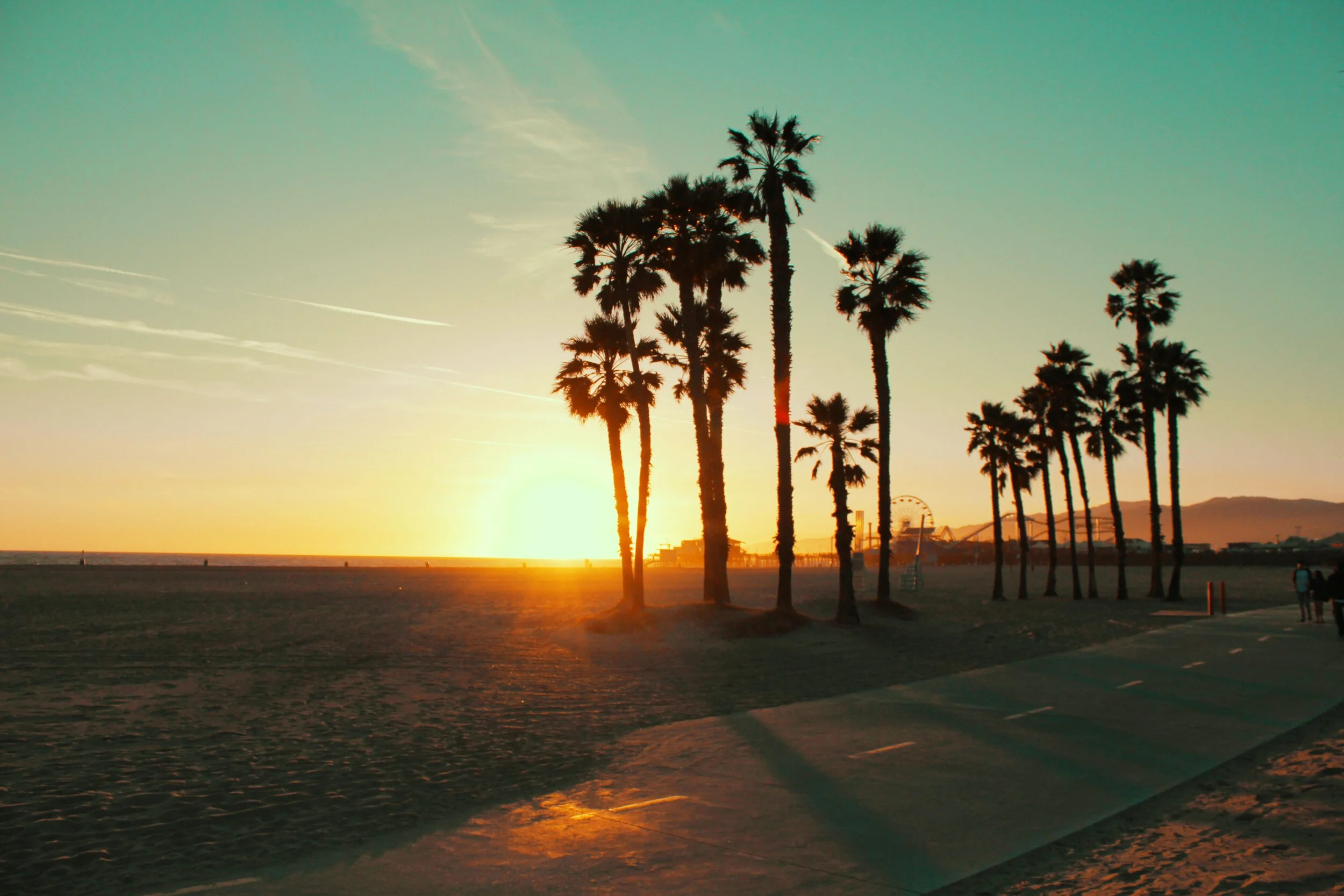 Global Partner Spotlight: Santa Monica/Venice
