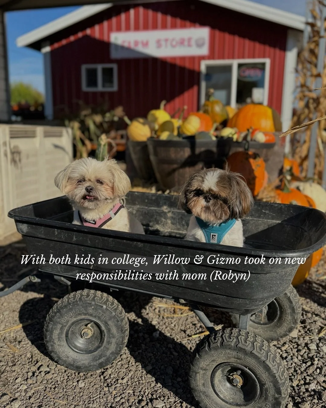 Monthly Round-Up 🍁 October Edition 
We&rsquo;re hitting restart on our monthly photo dumps! Here&rsquo;s a candid peek into our camera rolls and what got up to (work and play) in October.

RE-VESTA Group, our team behind the scenes &bull; Real estat