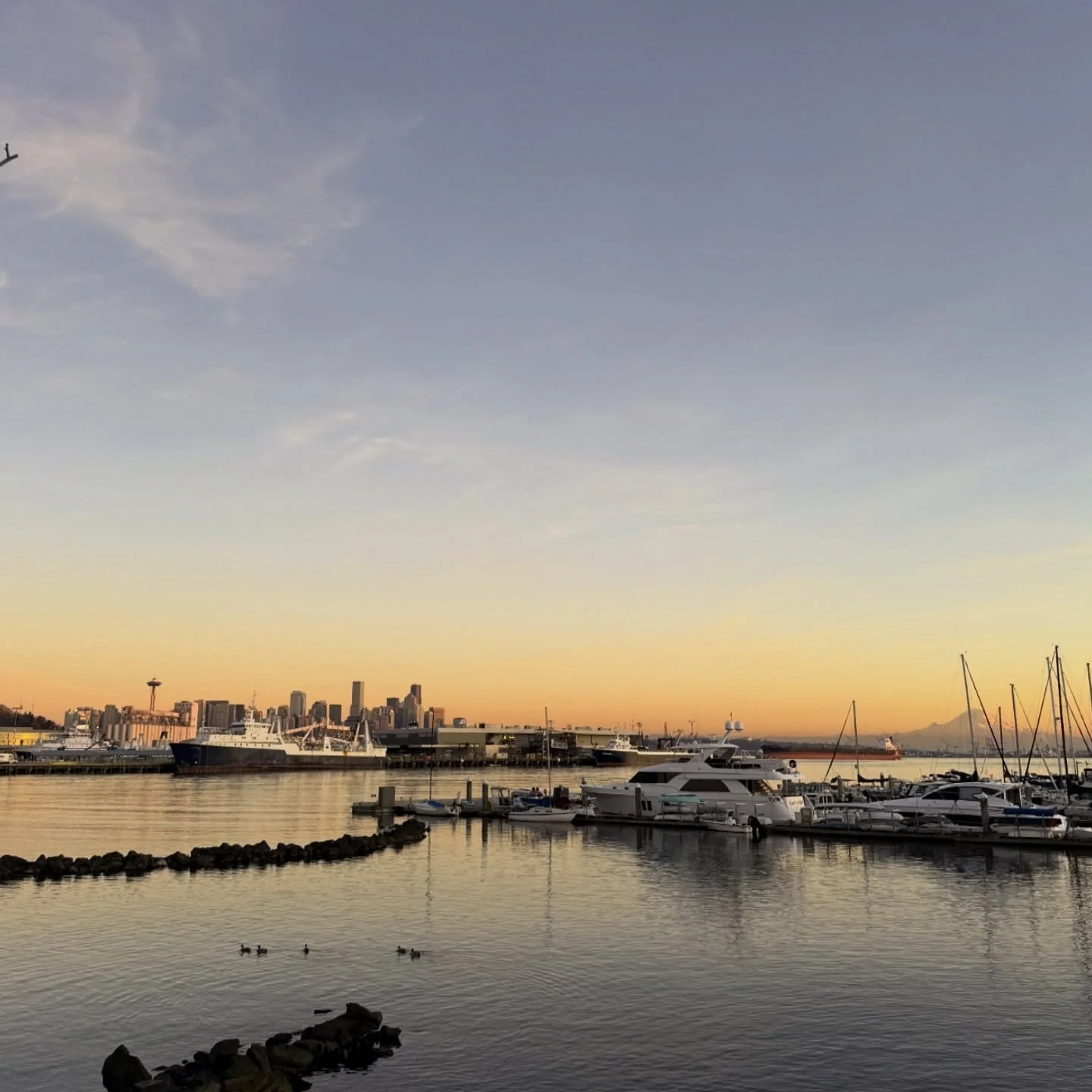 &rsquo;Twas the night before the Super Bowl, and all through the Sound,
The city is ready, excitement all around. 🏈

These are the moments that remind you why this place feels like home. From the skyline to the water, it&rsquo;s community, pride, an