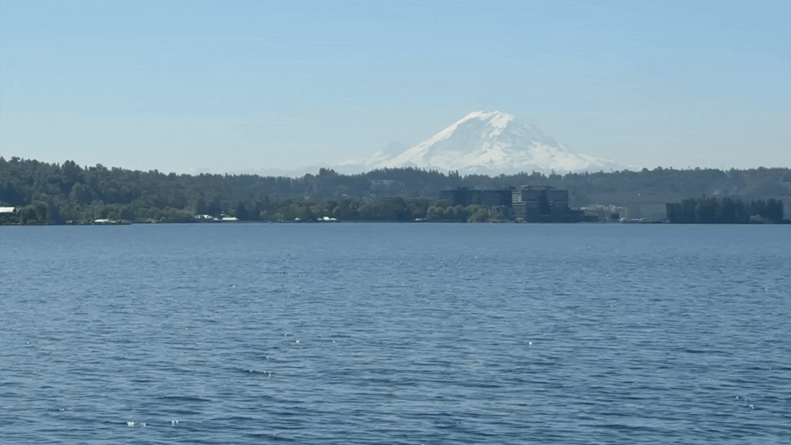 RVG newsletter  website (video template).gif