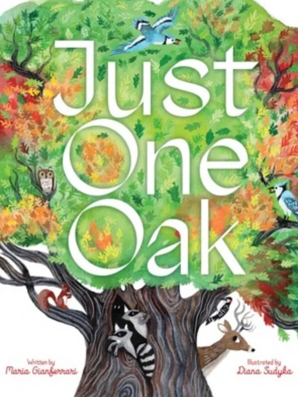 Hug a tree! This gorgeous book by @maria_gianferrari_author and @tinyaviary reminds how much just one tree sustains so much life. Music by @b7lanket