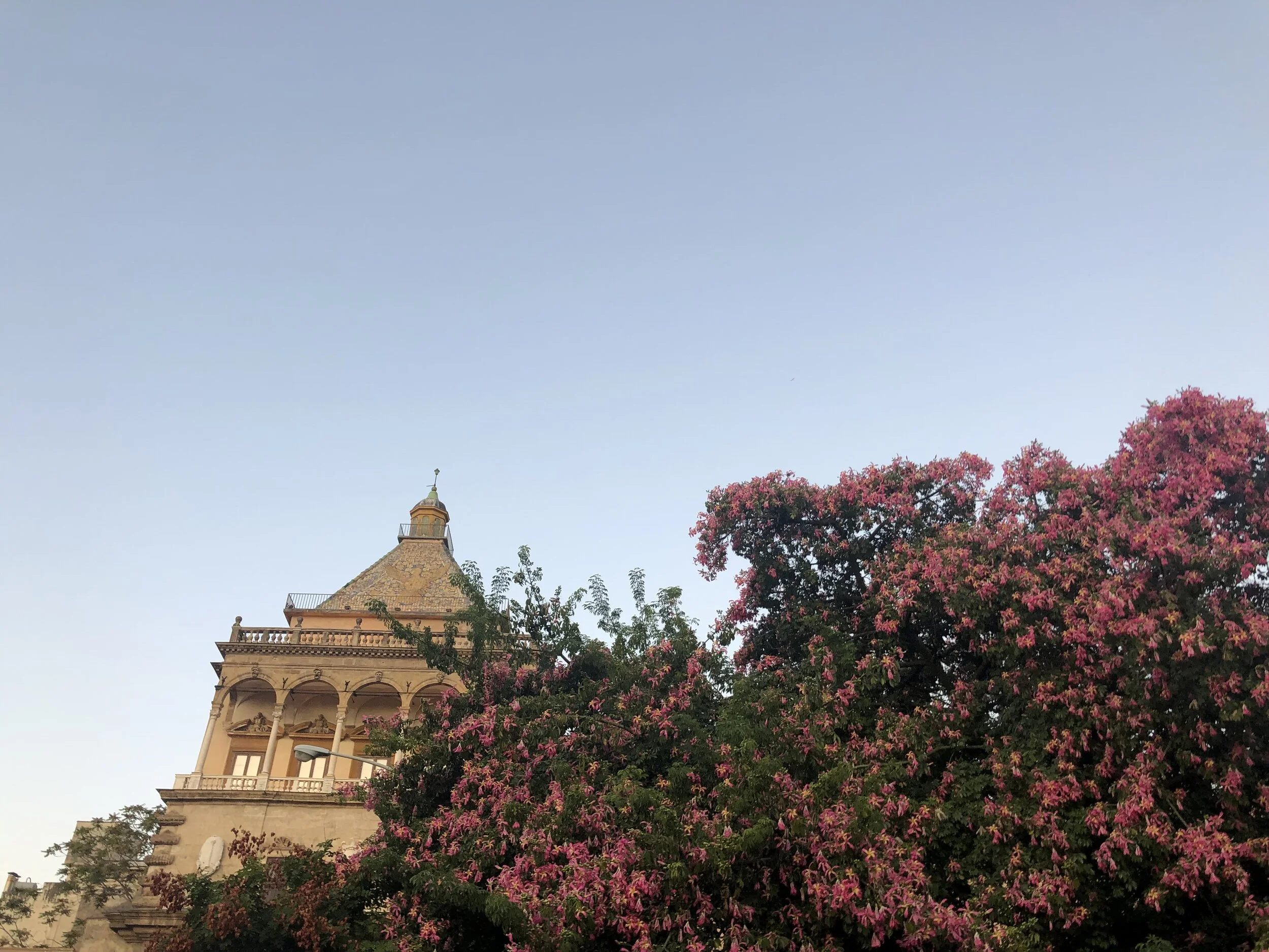 What To Do In Palermo After You've Already 'Done' Palermo