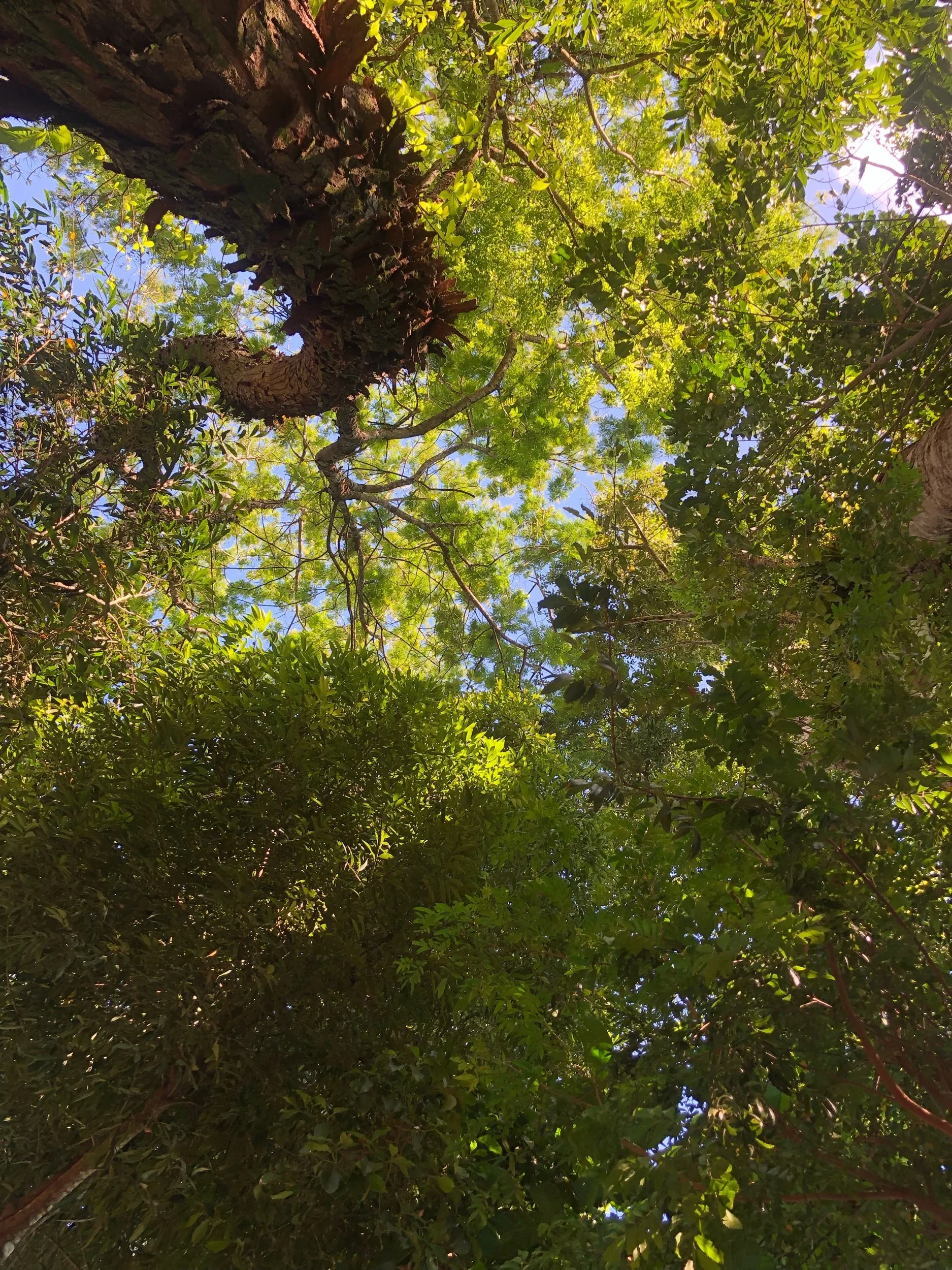 Commercial Observer: How Do You Future-Proof Place? 