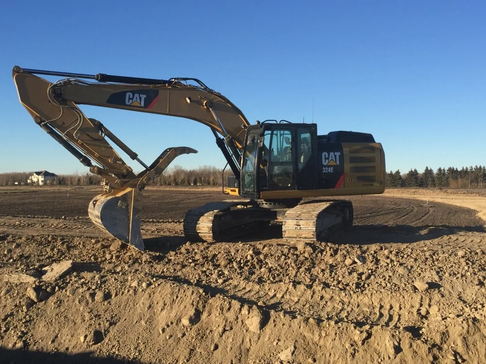 cat3.jpg