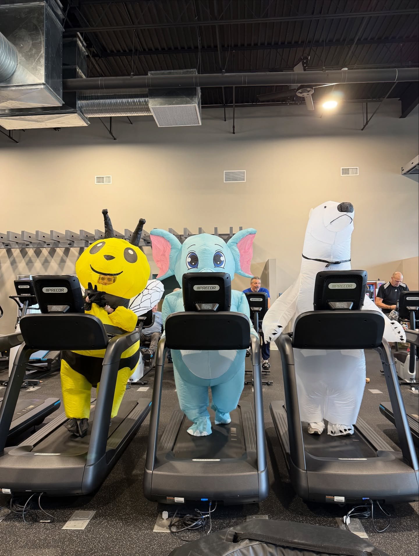 Happy Halloween! 🐝 🐻&zwj;❄️ 🐘 🐈&zwj;⬛ 🎸 

#halloween #costume #gym #gymfun