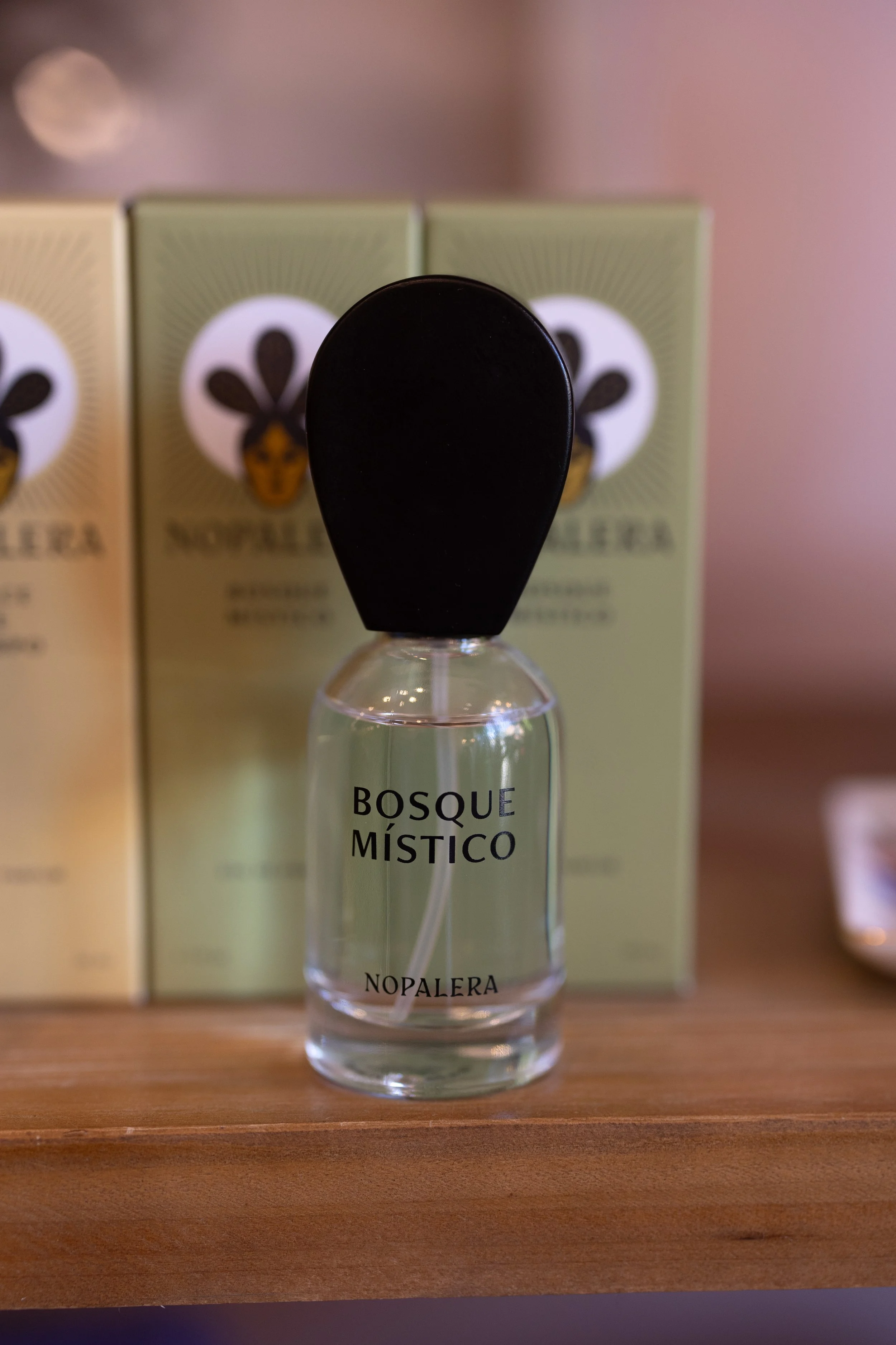 Nopalera Bosque Mistìco $80