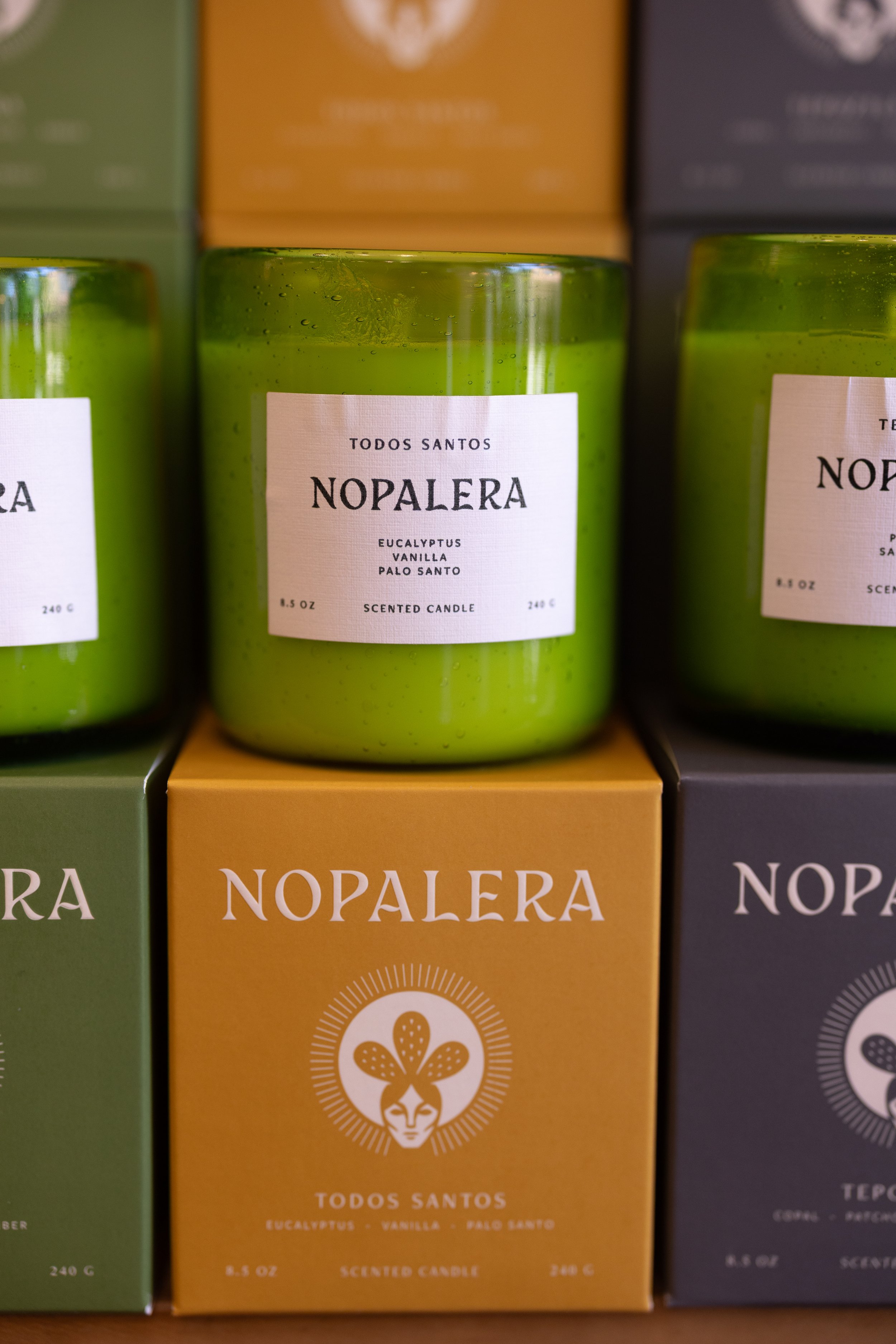 Nopalera Todos Santos Candle $50
