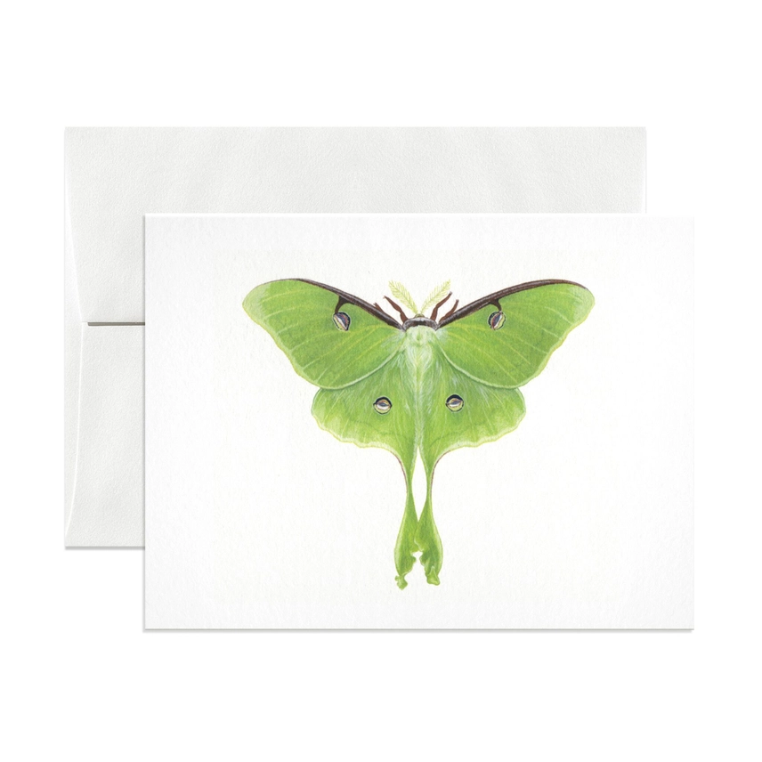 Luna Moth Greeting Card.png