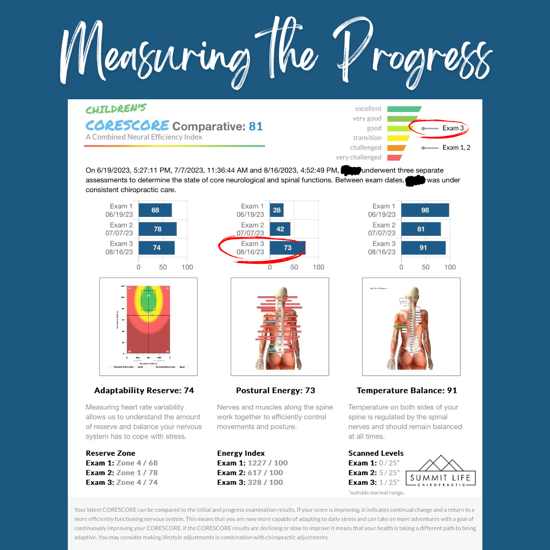 CLA Insight Scans — Summit Life Chiropractic