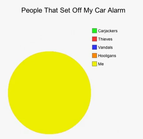 My Stupid Car Alarm