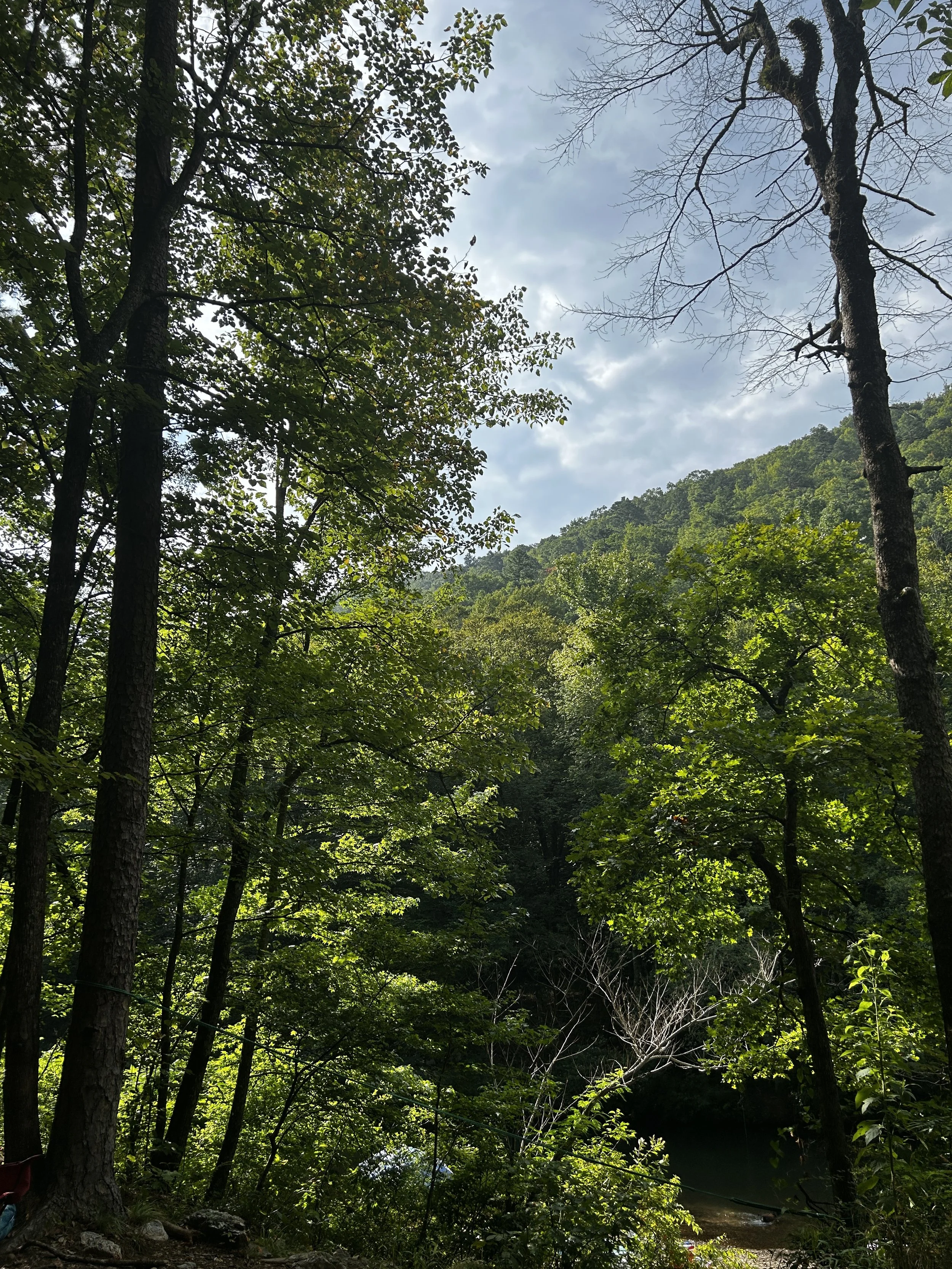 Camping on the Cossatot (2026)