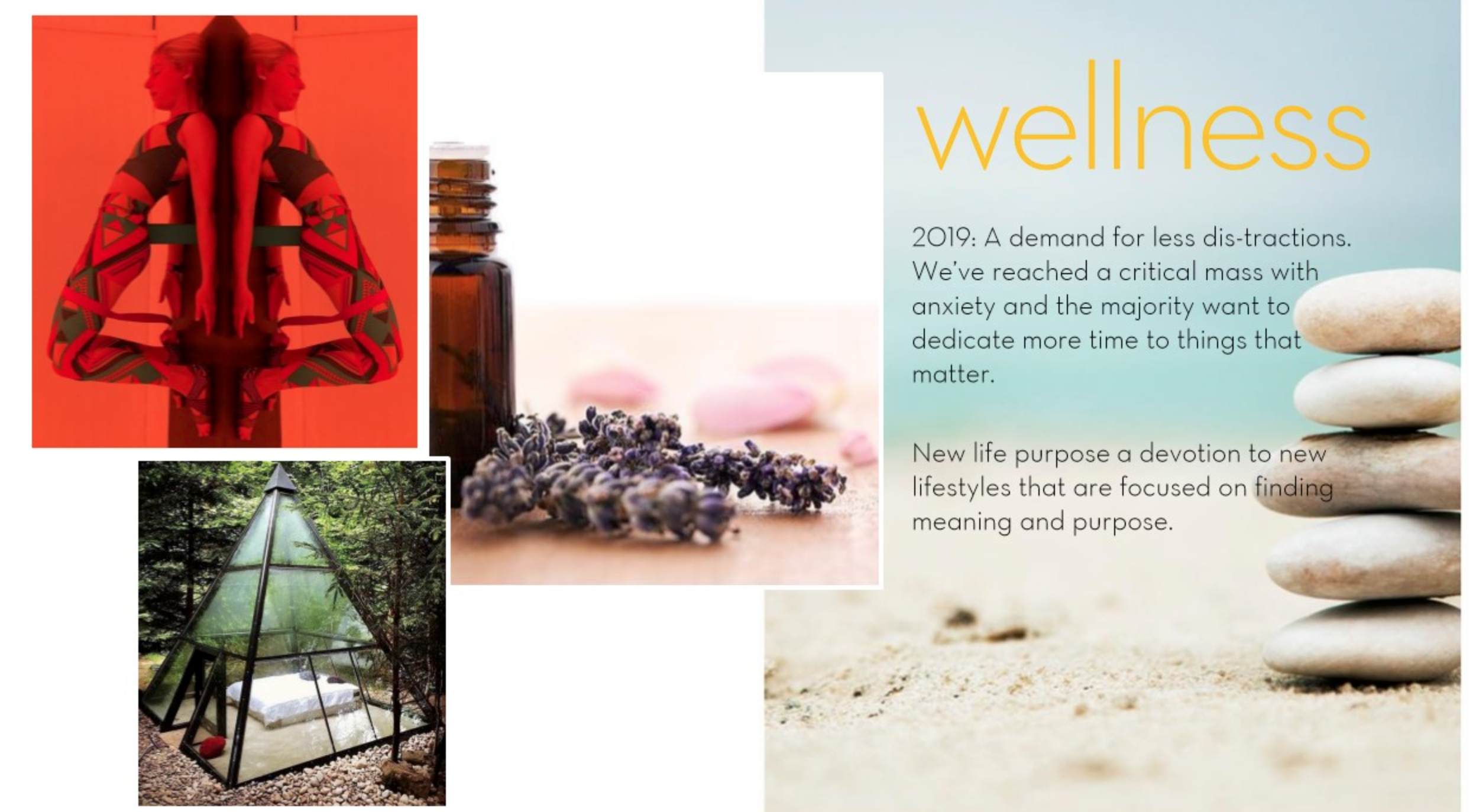 Wellness Trends 2017 - 2021