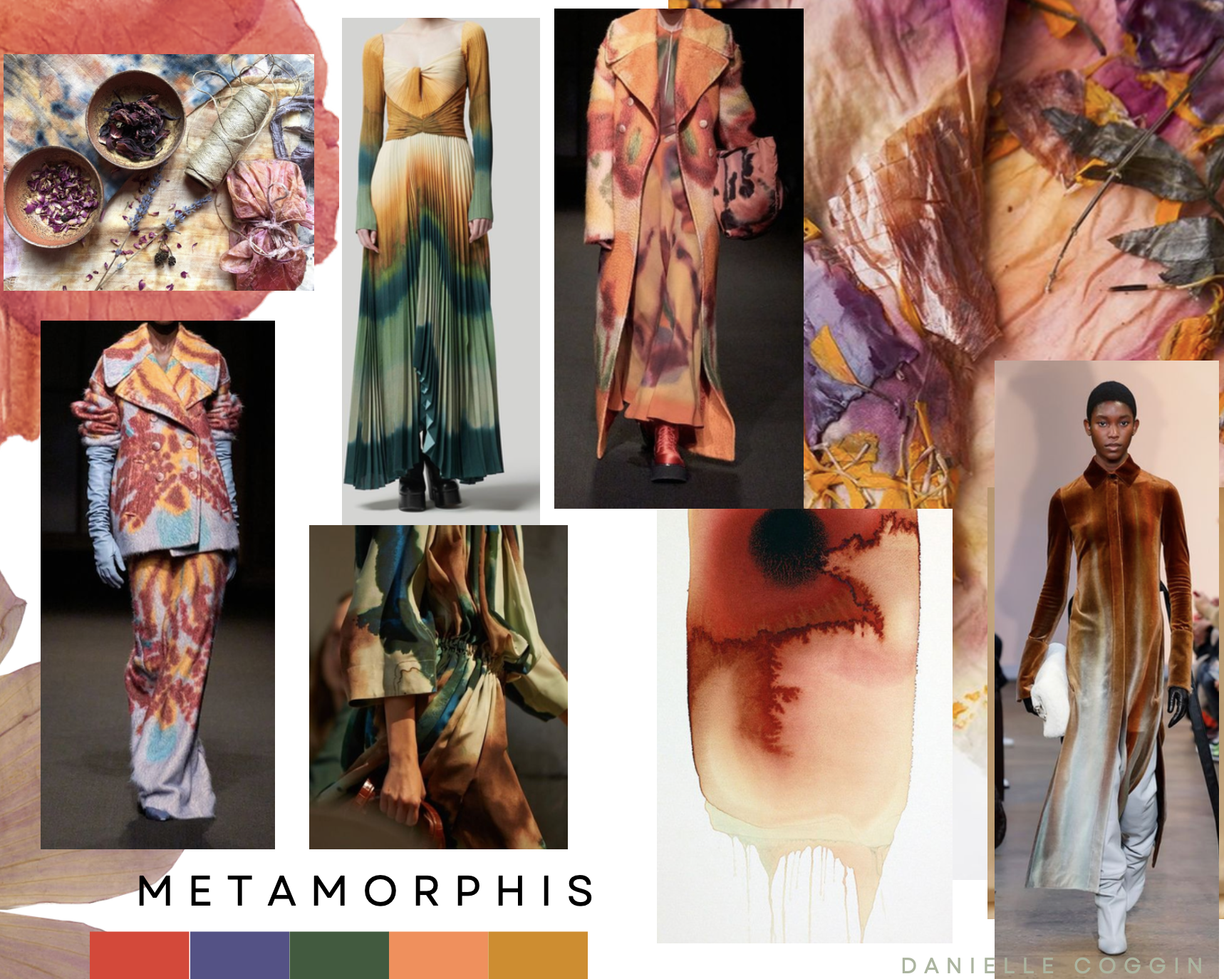 DRC_metamorphis_color_24.png