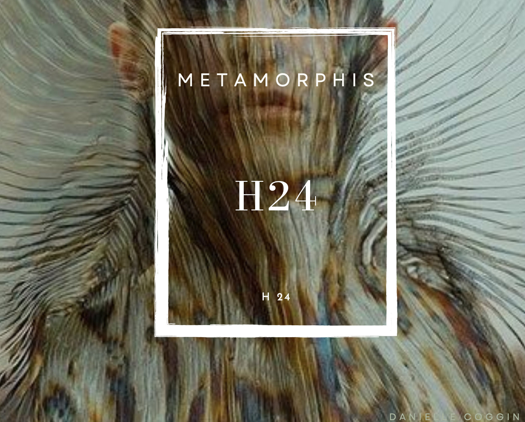 DRC_cover_h24_meta.png