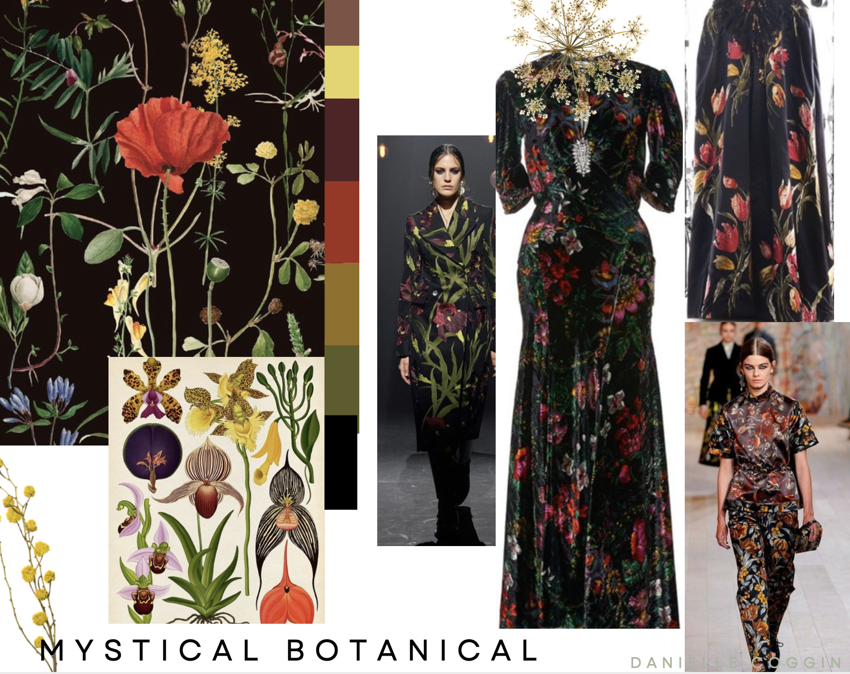 DRC_mystical_botanical_concept.png