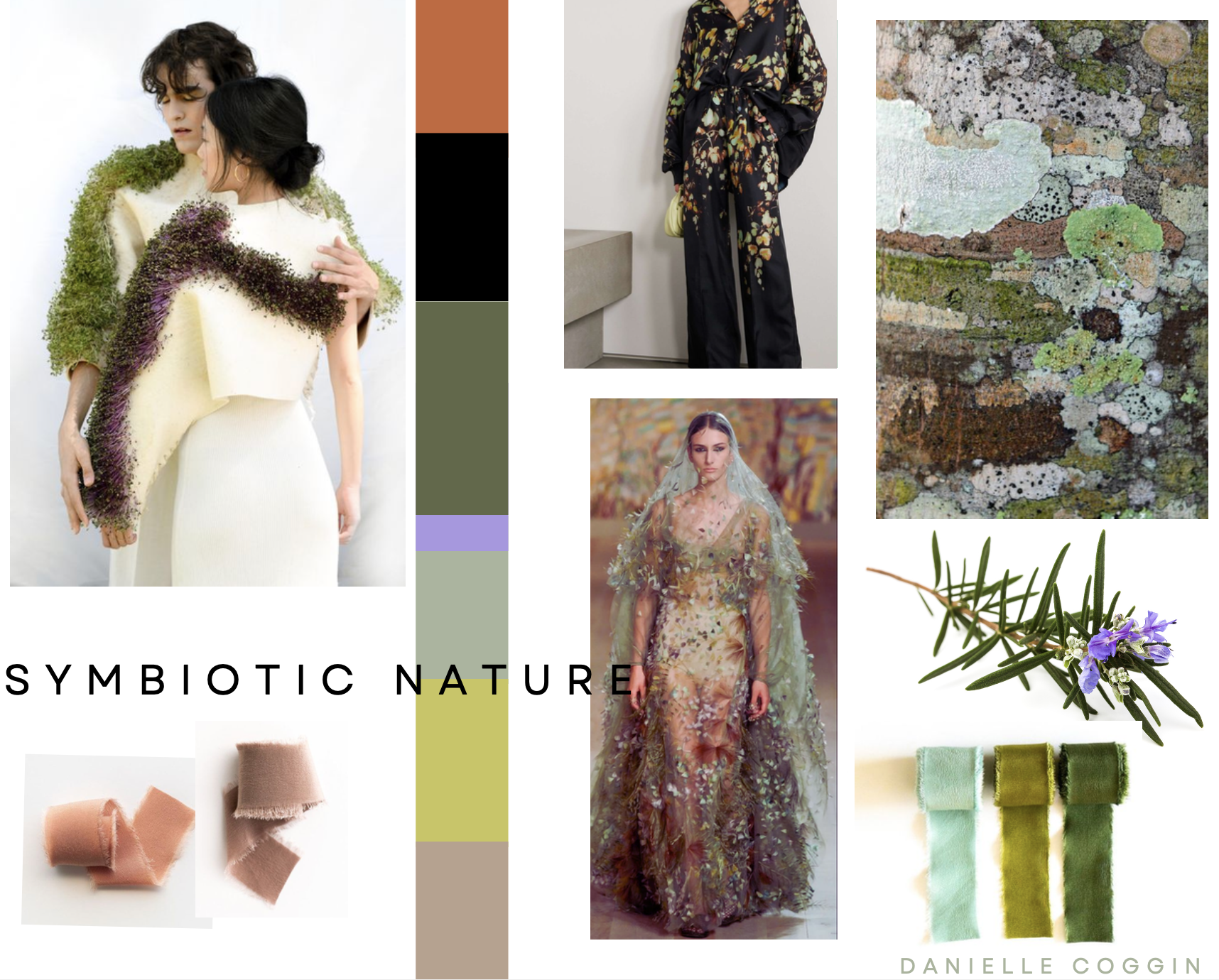 DRC_symbiotic_color-concept.png