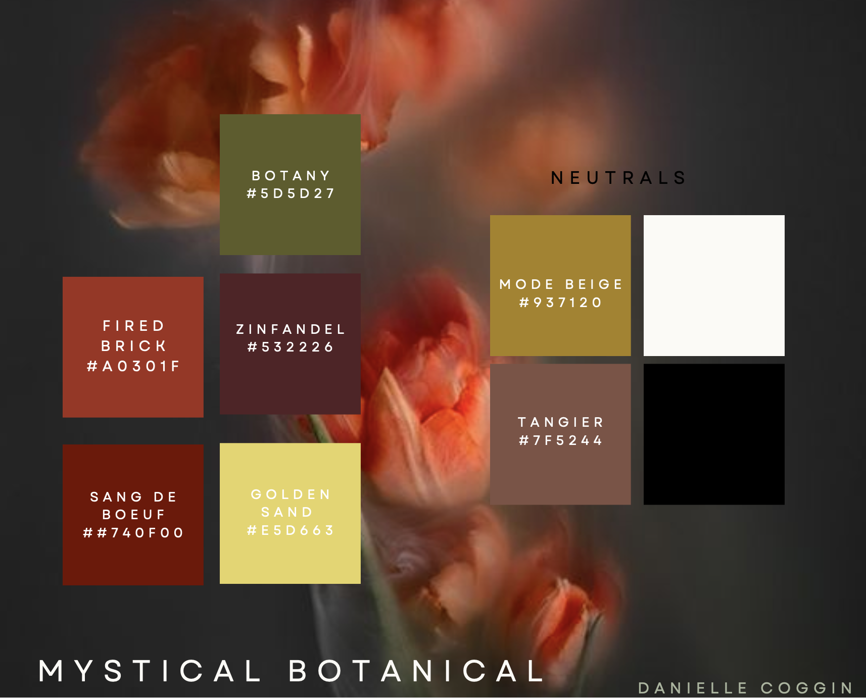 DRC_mystical_color.png