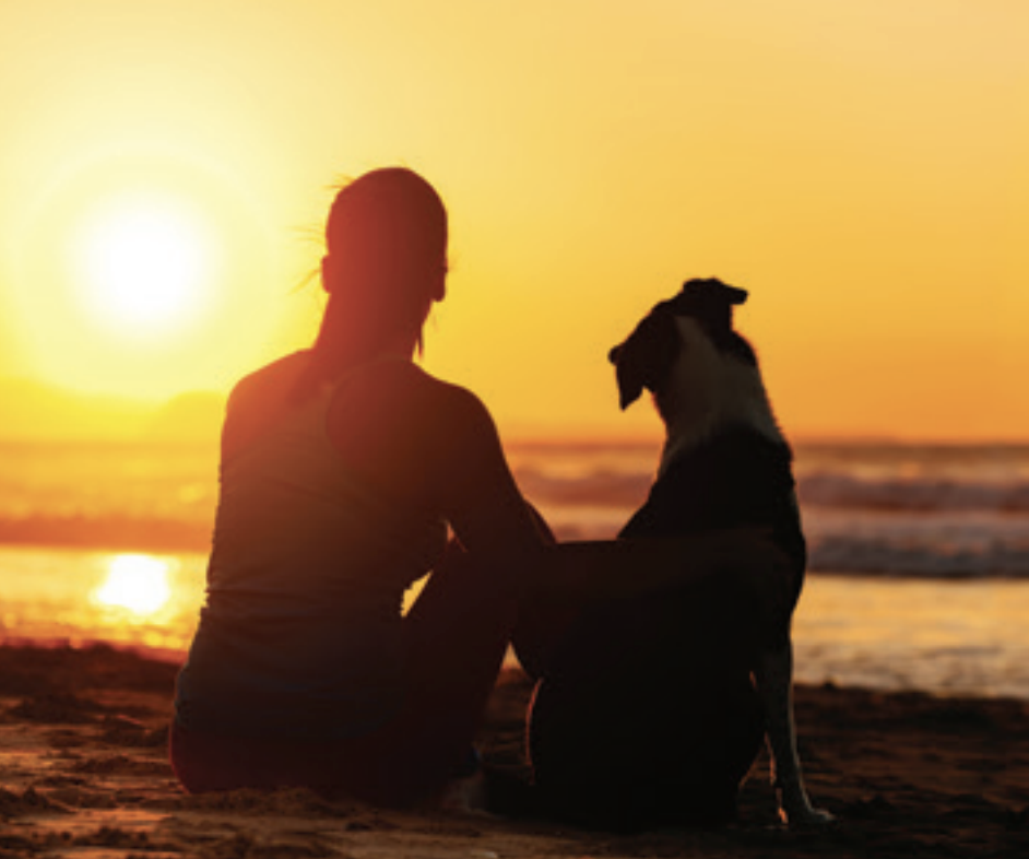 Silhouette image of a woman with her dog on the beach at sunset