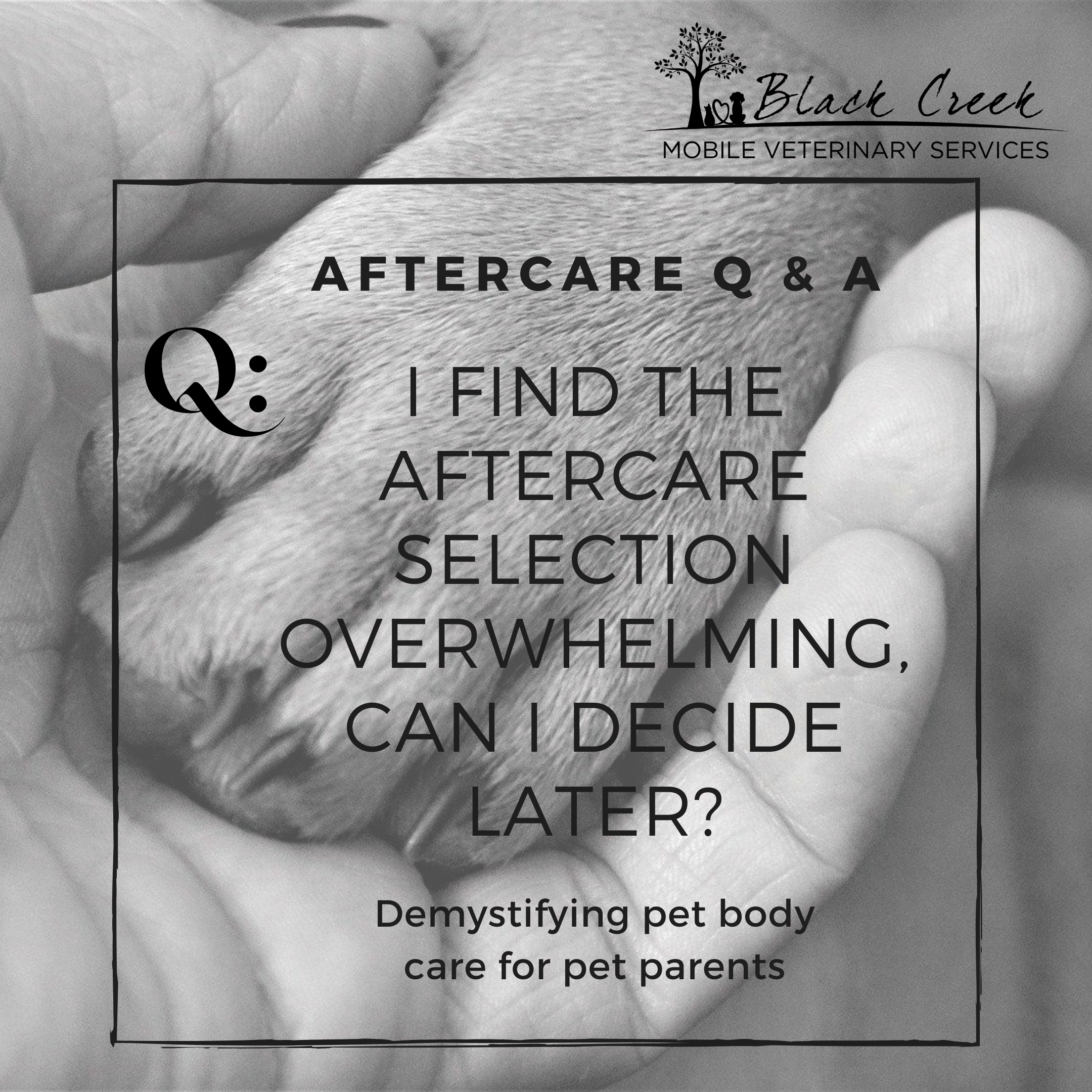 Aftercare Q&A Q13-2.png