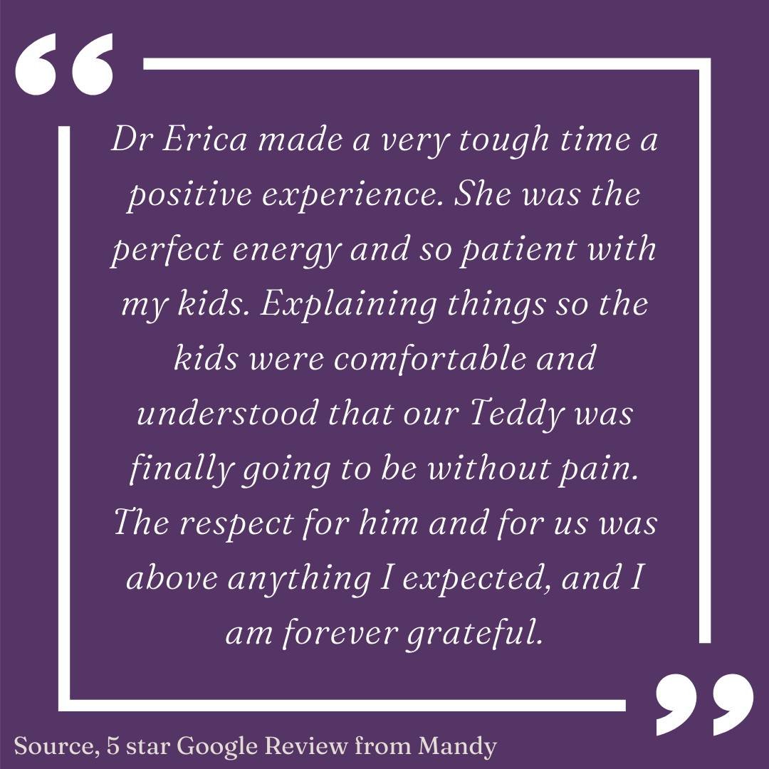 ❤️ 🐾 Testimonial Tuesday 🐾💜

We know that opening your home &amp; family to a veterinarian that you've never met can be nerve-racking. Thank you Mandy for sharing some special words about your experience with us. We are certain that your review wi