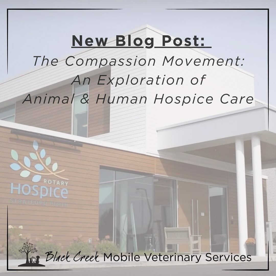 Walking a similar path: Our visit to @rotaryhospice illuminated the shared values and challenges in end-of-life care, igniting a deeper appreciation for the bonds we share. Explore our insights in our latest blog post. 💜🌈 https://petcomfortvet.com/