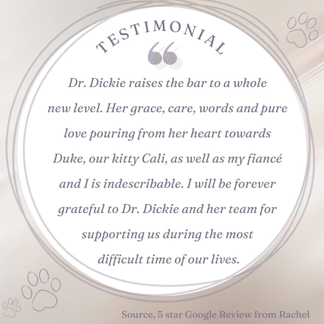 🐾💜Testimonial Tuesday 💜🐾

We believe caring for animals&rsquo; emotional wellbeing is just as important as their physical symptoms; our goal is to always have the most peaceful, calm and stress-free experience not only for your pet, but for you a