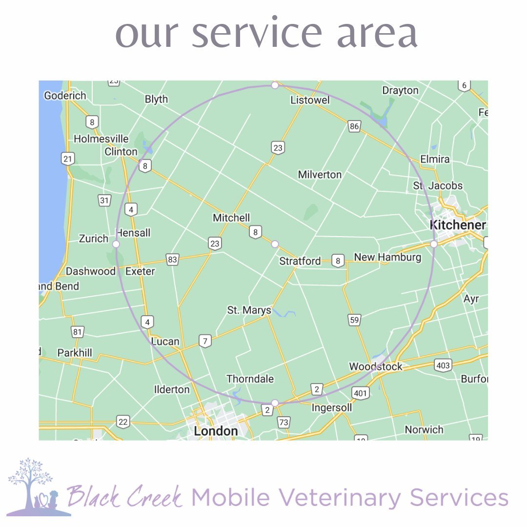 Providing gentle in home End-of-Life pet care is our passion. 🏠💜

We travel to homes within Perth County and beyond. We service a 40-km driving radius from our home base in Sebringville, to the following communities:

Stratford, New Hamburg, St. Ma