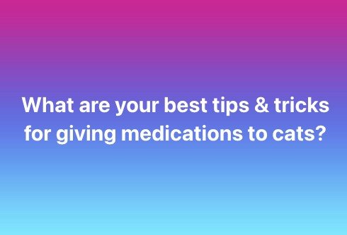 🐾 Calling all cat lovers and caregivers! 🐱 

We'd love to hear your tips and tricks for giving medications to our feline friends. Do you have any special techniques or strategies that make the process easier? Whether it's hiding pills in treats, us