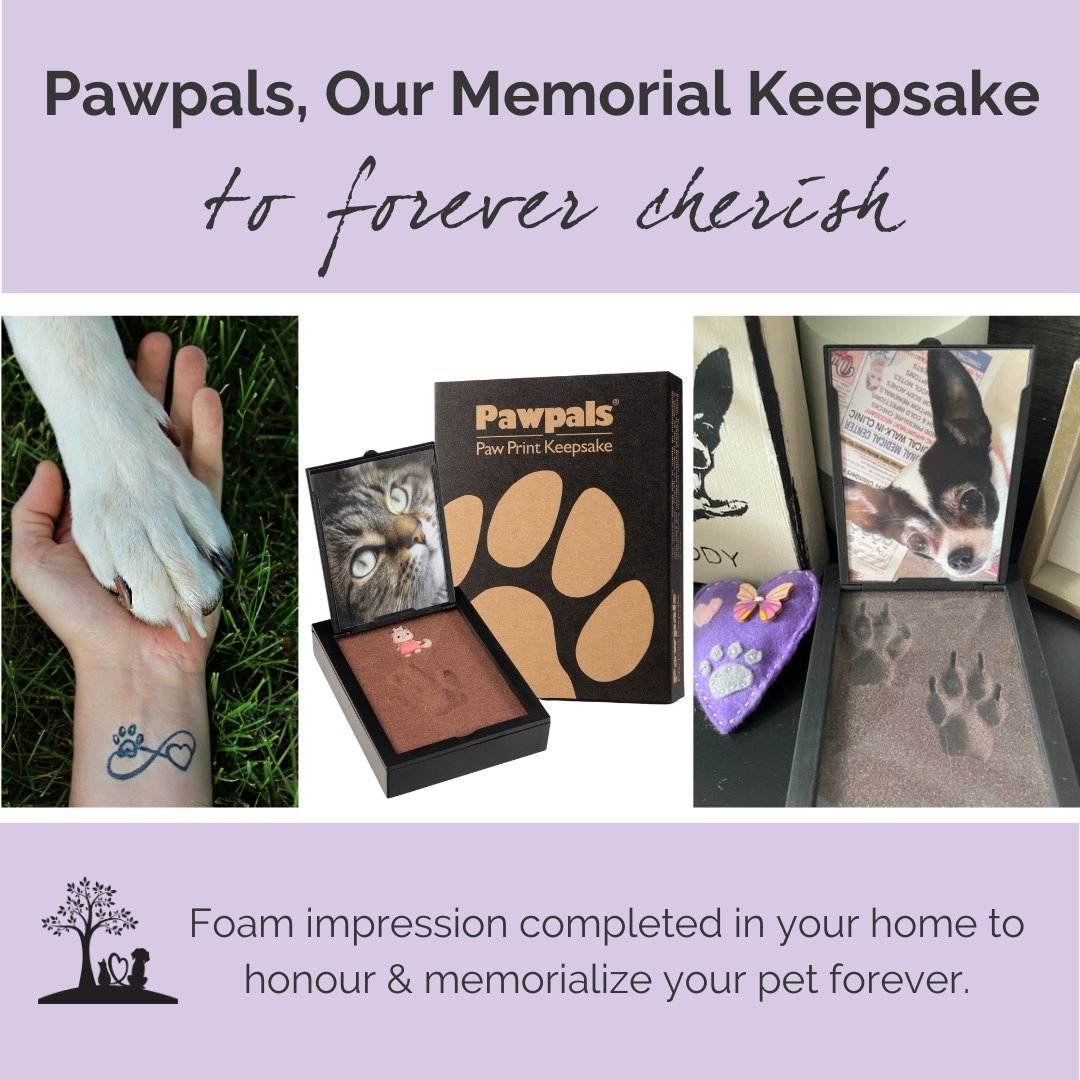 🐾💜 Every pet leaves a paw print on our hearts. 💖 🐾

We understand how deeply cherished those paw prints are, which is why we offer a special keepsake that you can hold and keep right away. During such a difficult day, we will capture a tangible m