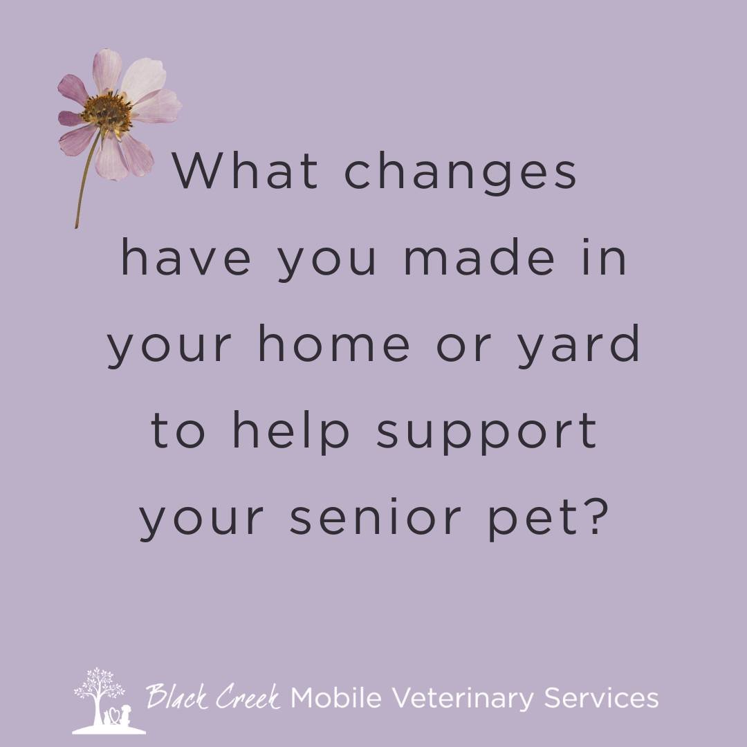 🐾 Calling all pet families with senior furry friends! 🐶🐱 

We'd love to hear about the changes you've made to your home or yard to support your aging pets. From installing ramps or stairs to help them navigate, to creating cozy spots with extra pa
