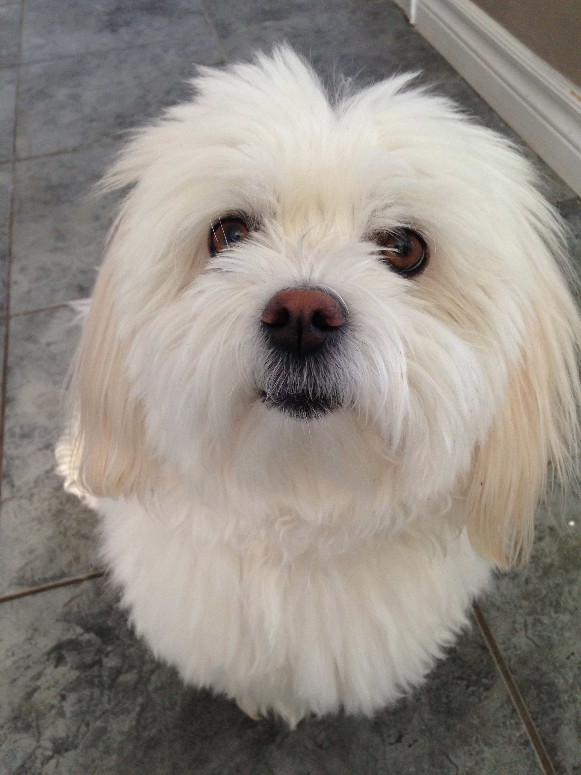 Lola Waind
