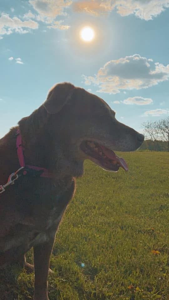 image11.jpeg