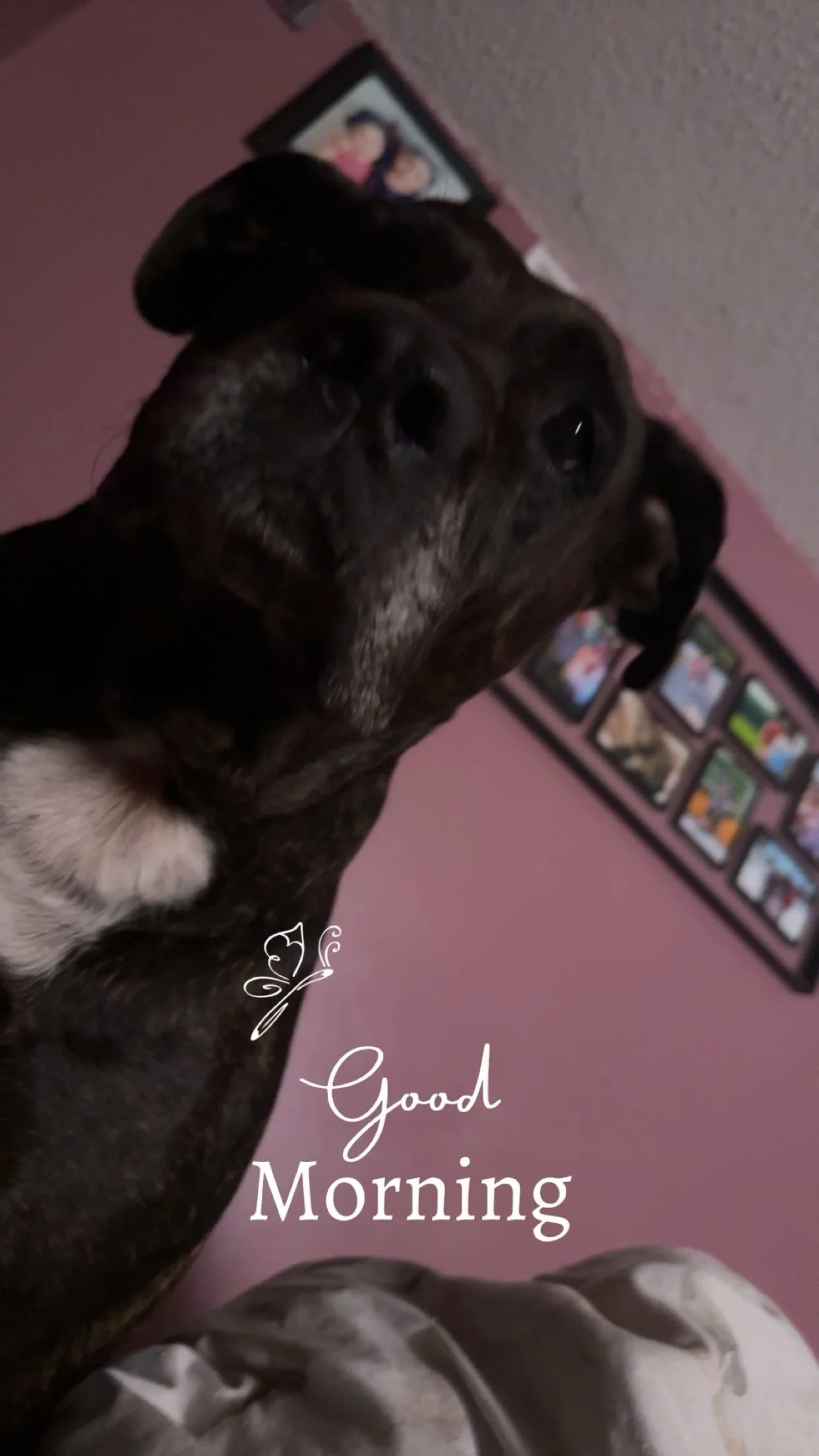 IMG_3251.jpeg