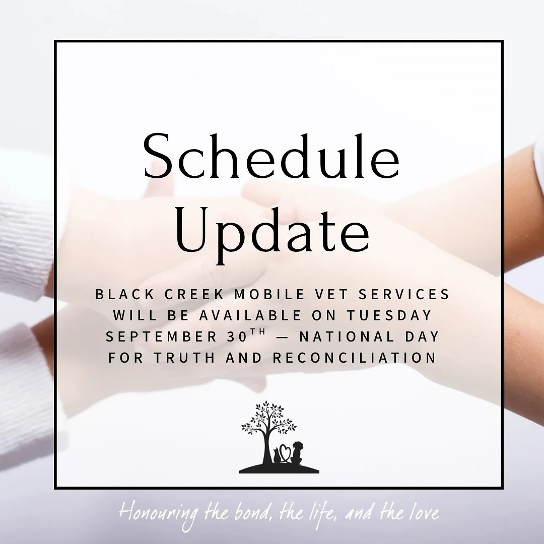 September 30th &ndash; National Day for Truth and Reconciliation 🧡

This day is a time to honour Survivors of residential schools, their families, and the children who never made it home. We encourage everyone to take a moment to reflect, listen, an