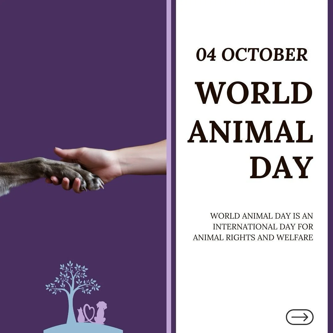 Today is World Animal Day &mdash; a time to honour and celebrate the incredible bond we share with animals of all kinds. 🩵

From the joyful companions who fill our days with love, to the beloved pets who now live on only in memory, today we pause to