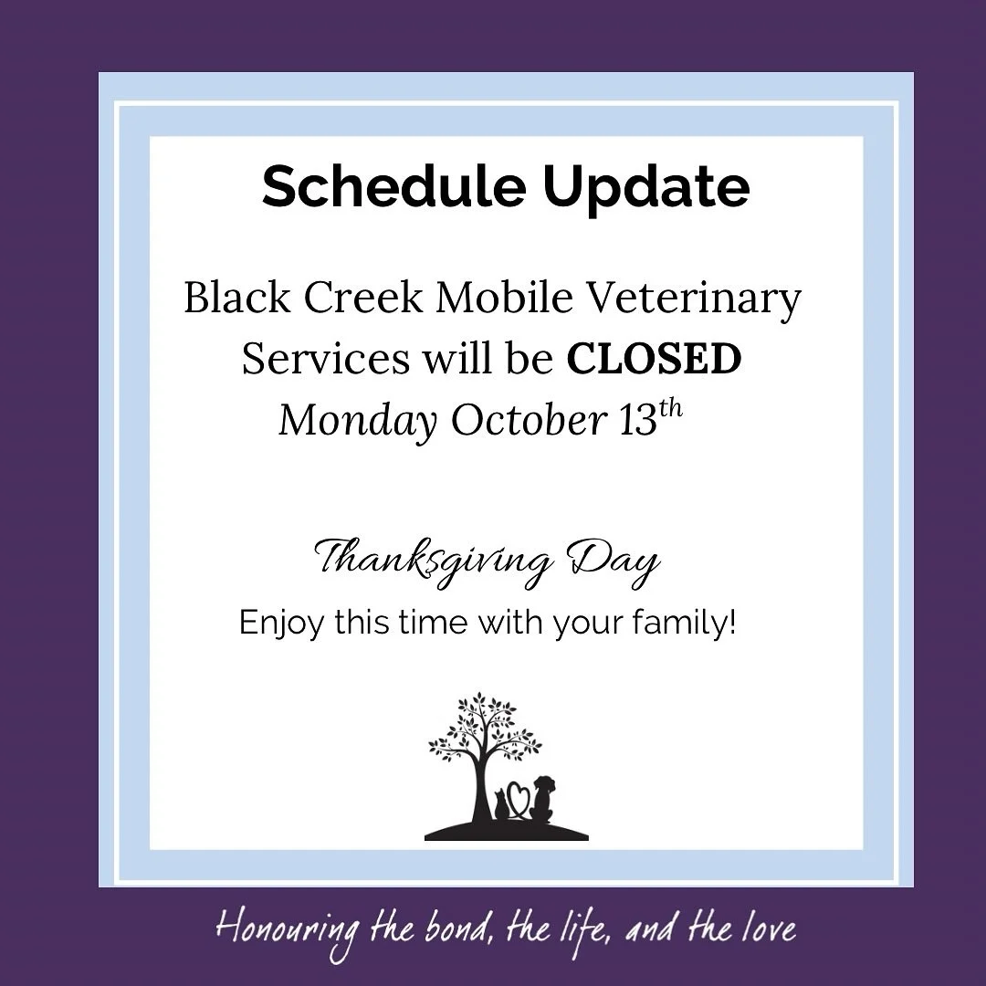 Black Creek Mobile Veterinary Services will be closed today, Monday October 13th for Thanksgiving Day. 🍂
We hope you enjoy this special time with your loved ones. 💜
Regular services will resume Tuesday October 14th.
🐾 Thank you for allowing us to